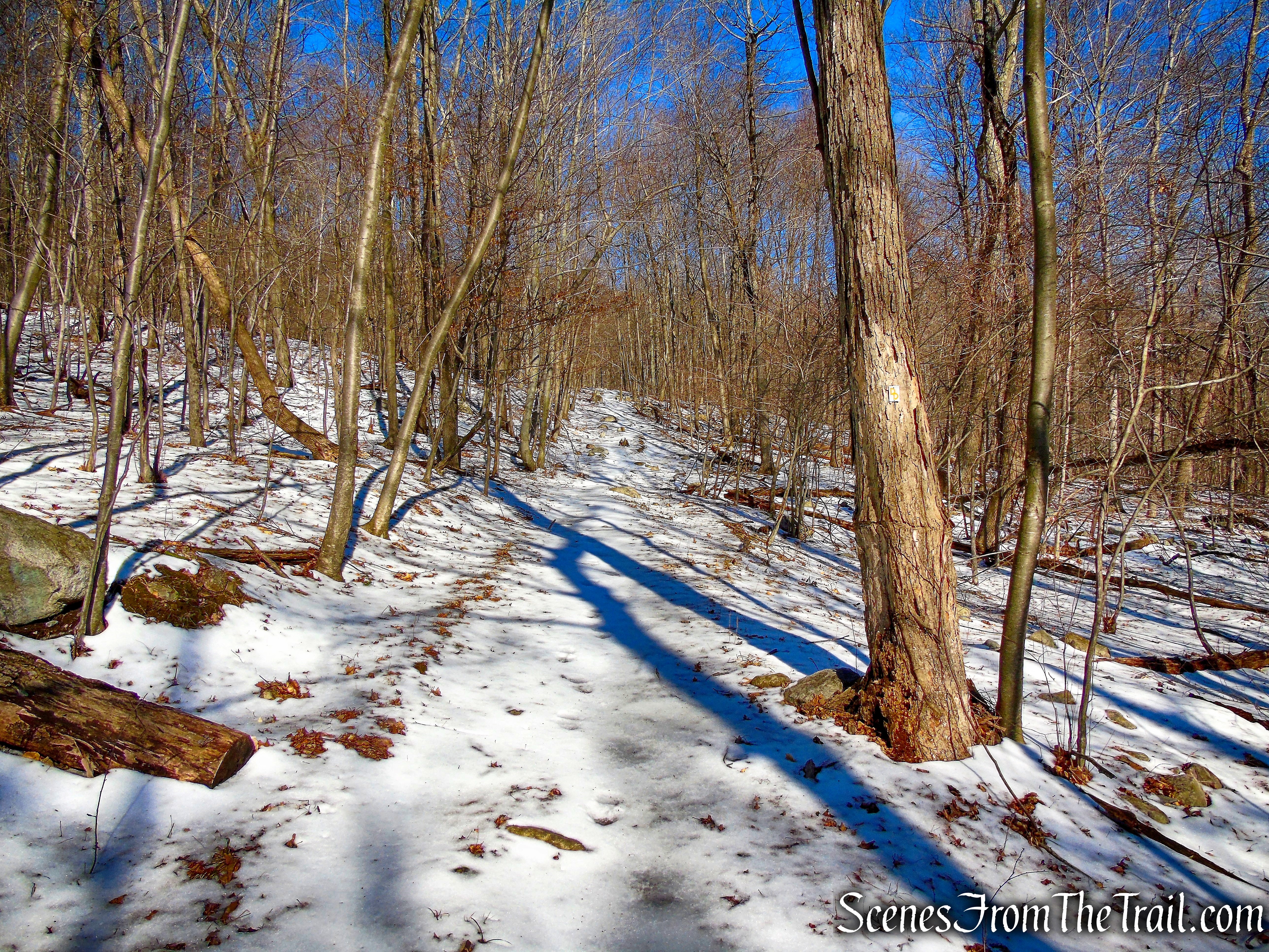 Doris Duke Trail joins a woods road