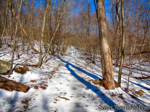 Doris Duke Trail joins a woods road