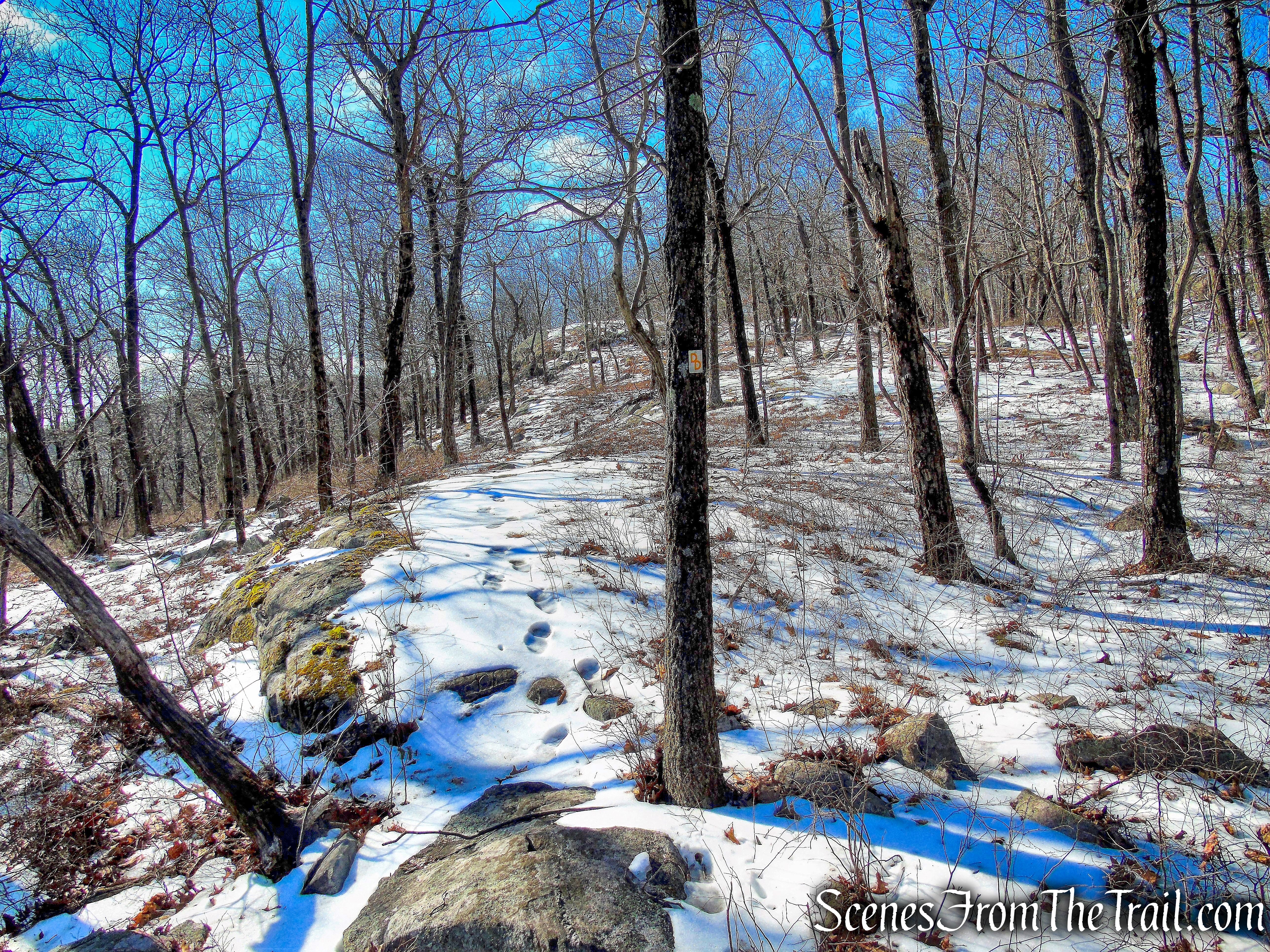 Doris Duke Trail southwest along the ridge