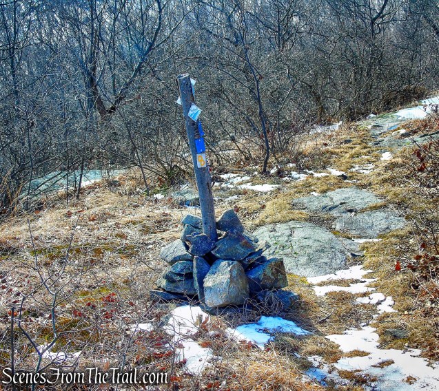 junction with the blue-blazed Allis Trail