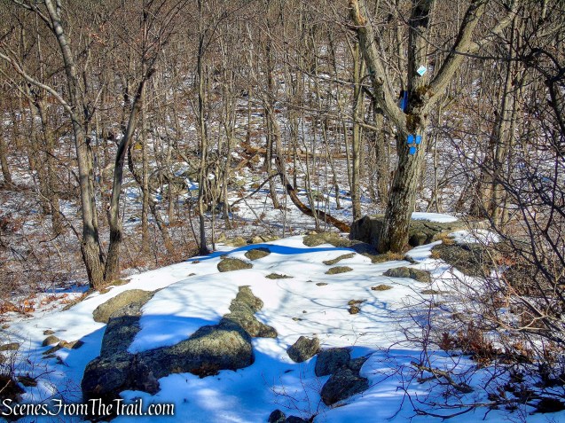 terminus of Allis Trail