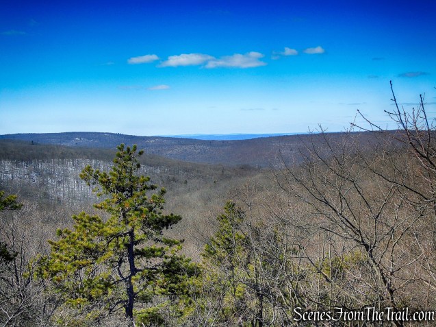 view west from Allis Trail