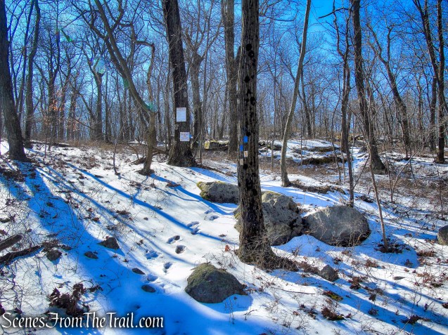 Doris Duke Trail climbs