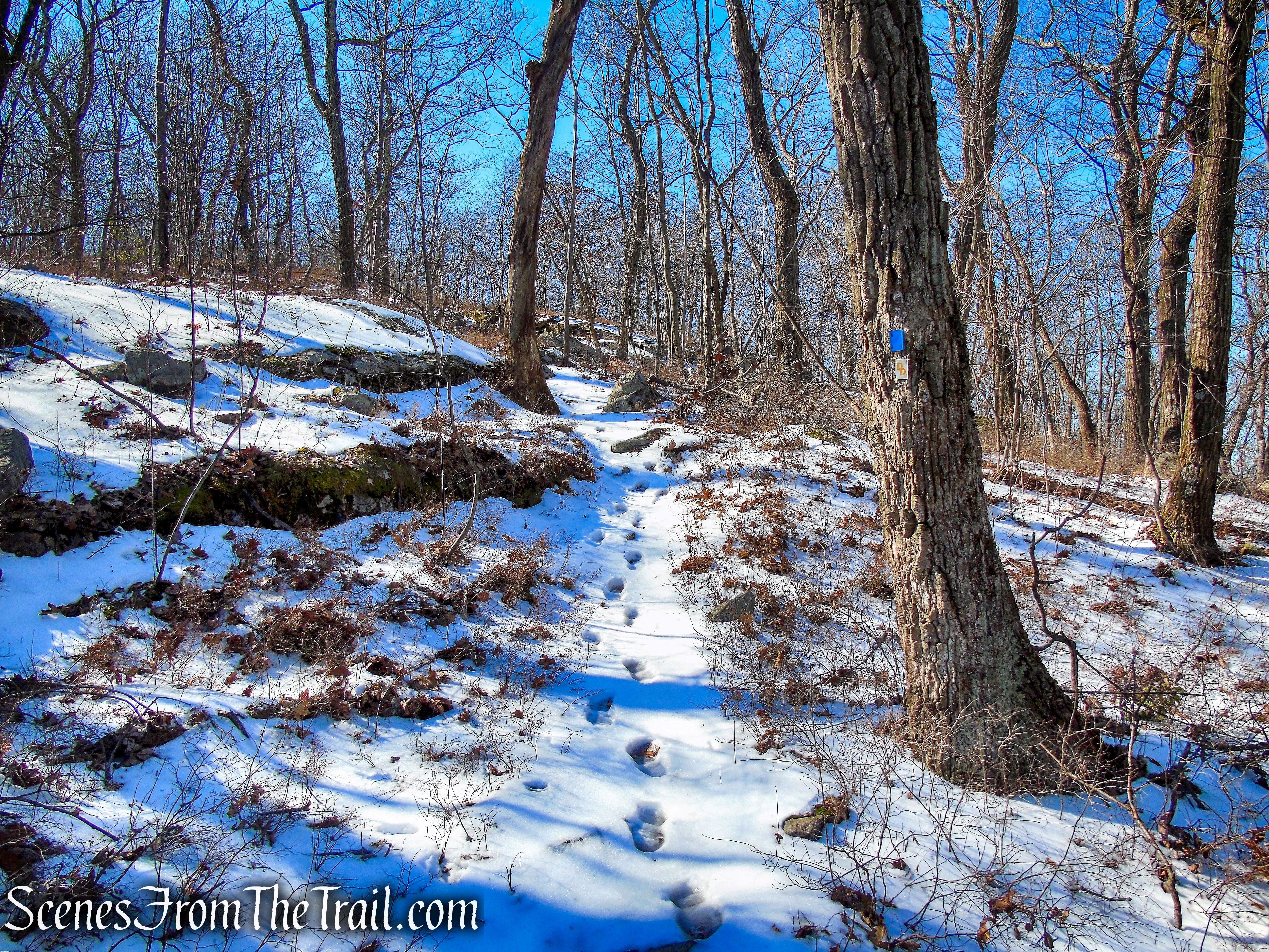 Doris Duke Trail climbs