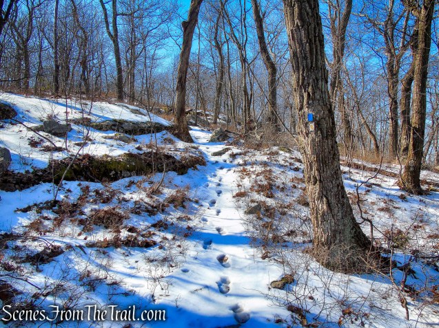 Doris Duke Trail climbs