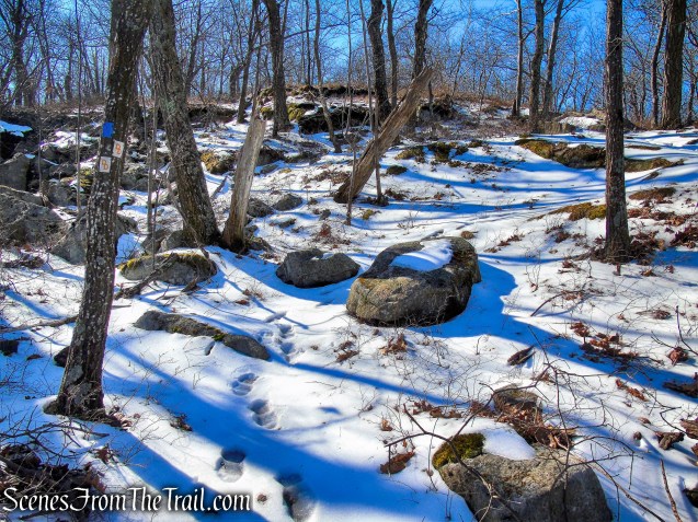 Doris Duke Trail climbs