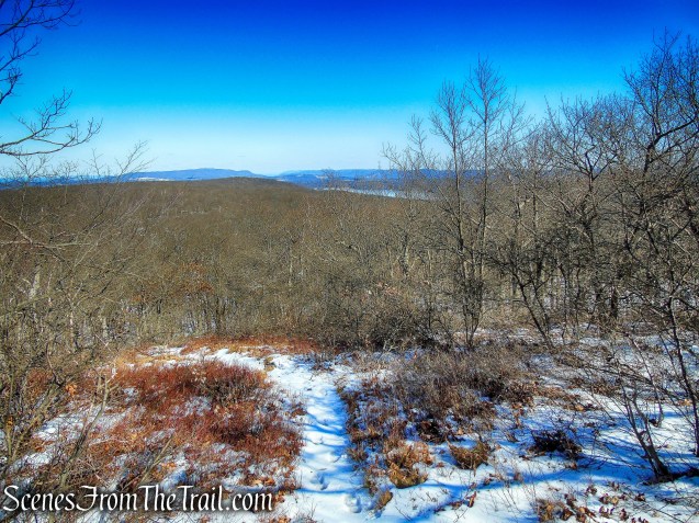 view near the high point of Doris Duke Trail