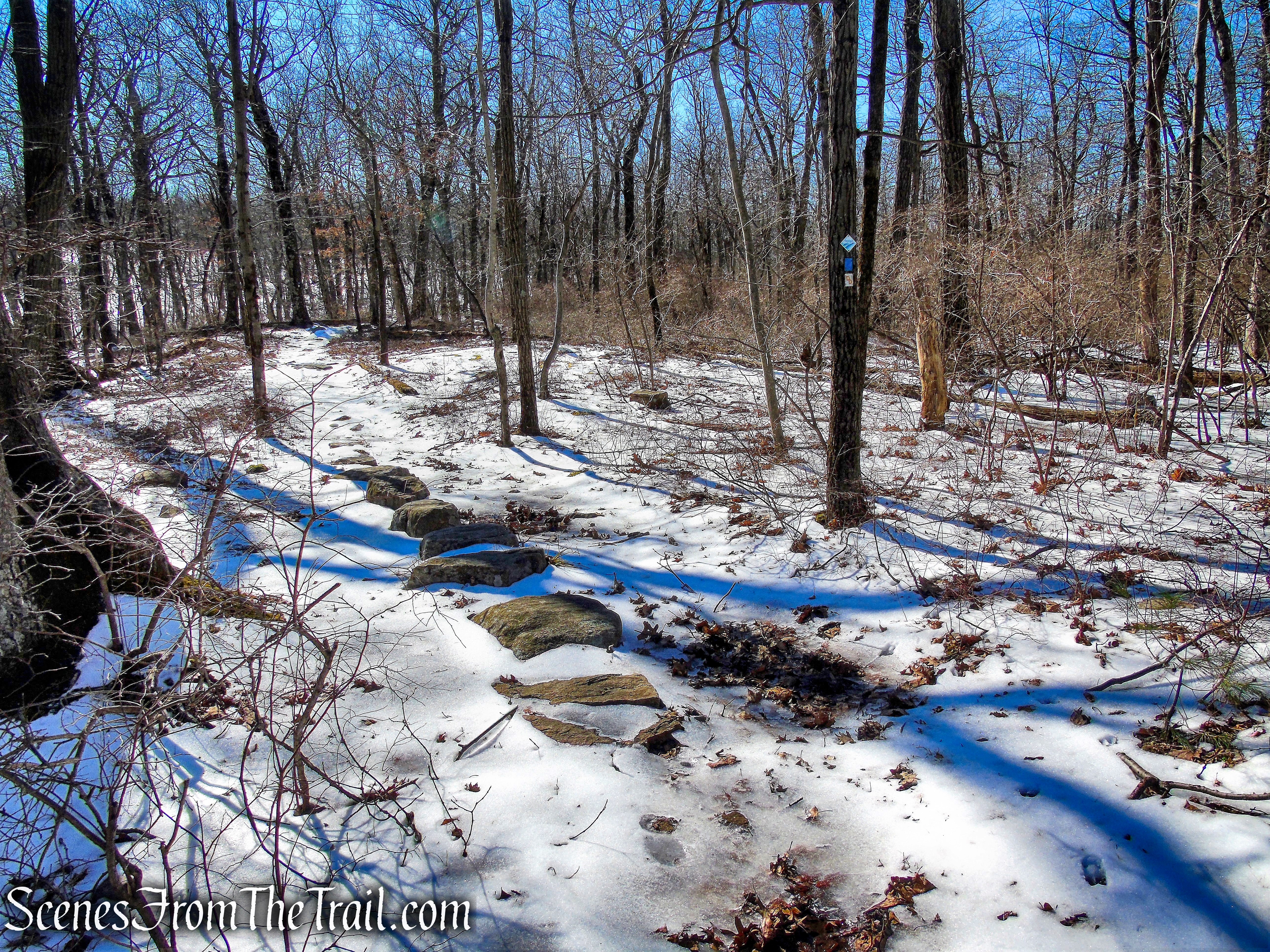 stepping stones - Doris Duke Trail