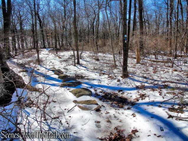stepping stones - Doris Duke Trail