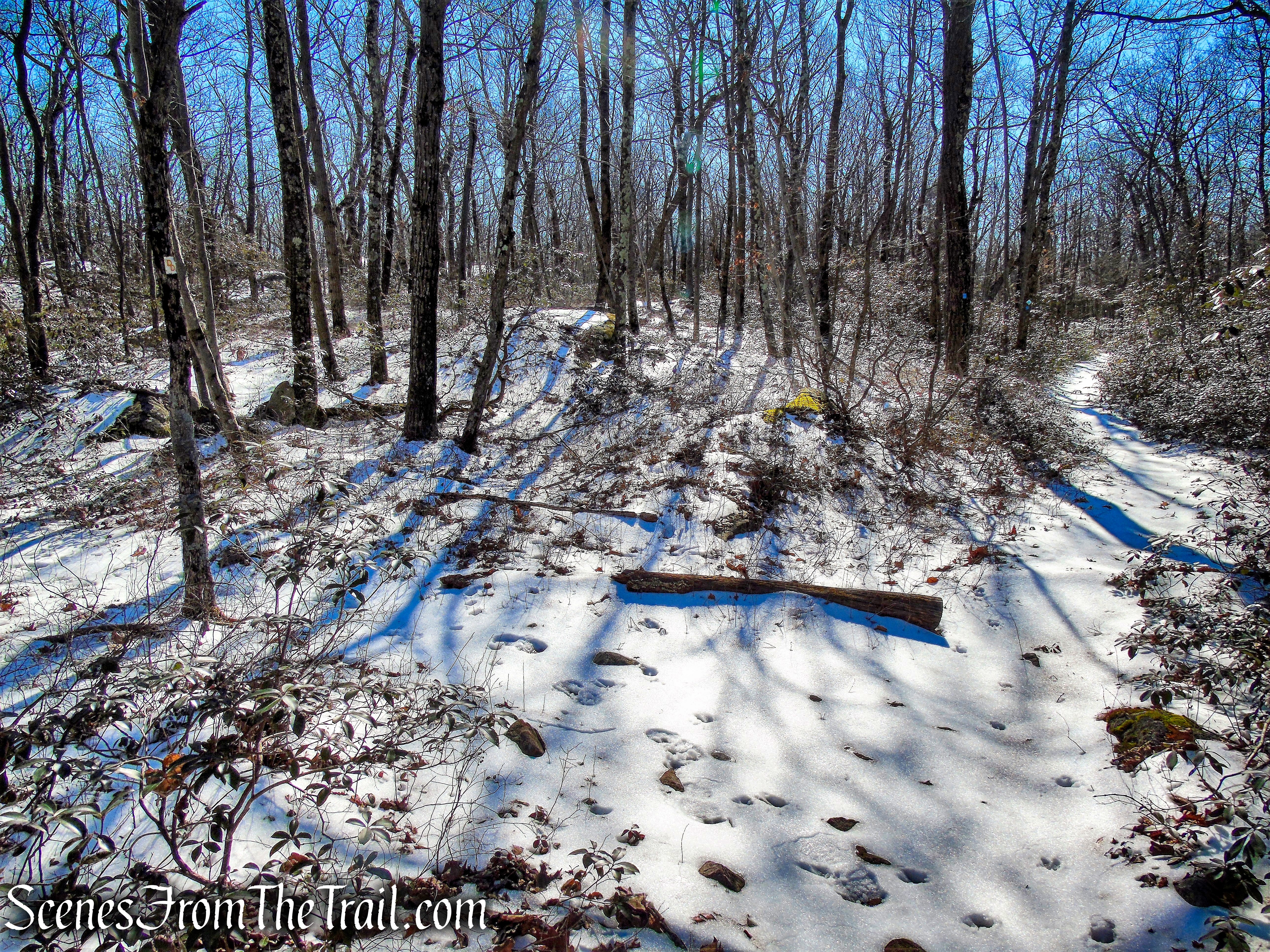 turn left on Doris Duke Trail