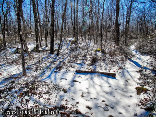 turn left on Doris Duke Trail
