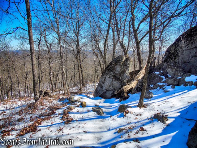 lichen-covered rocks - Doris Duke Trail