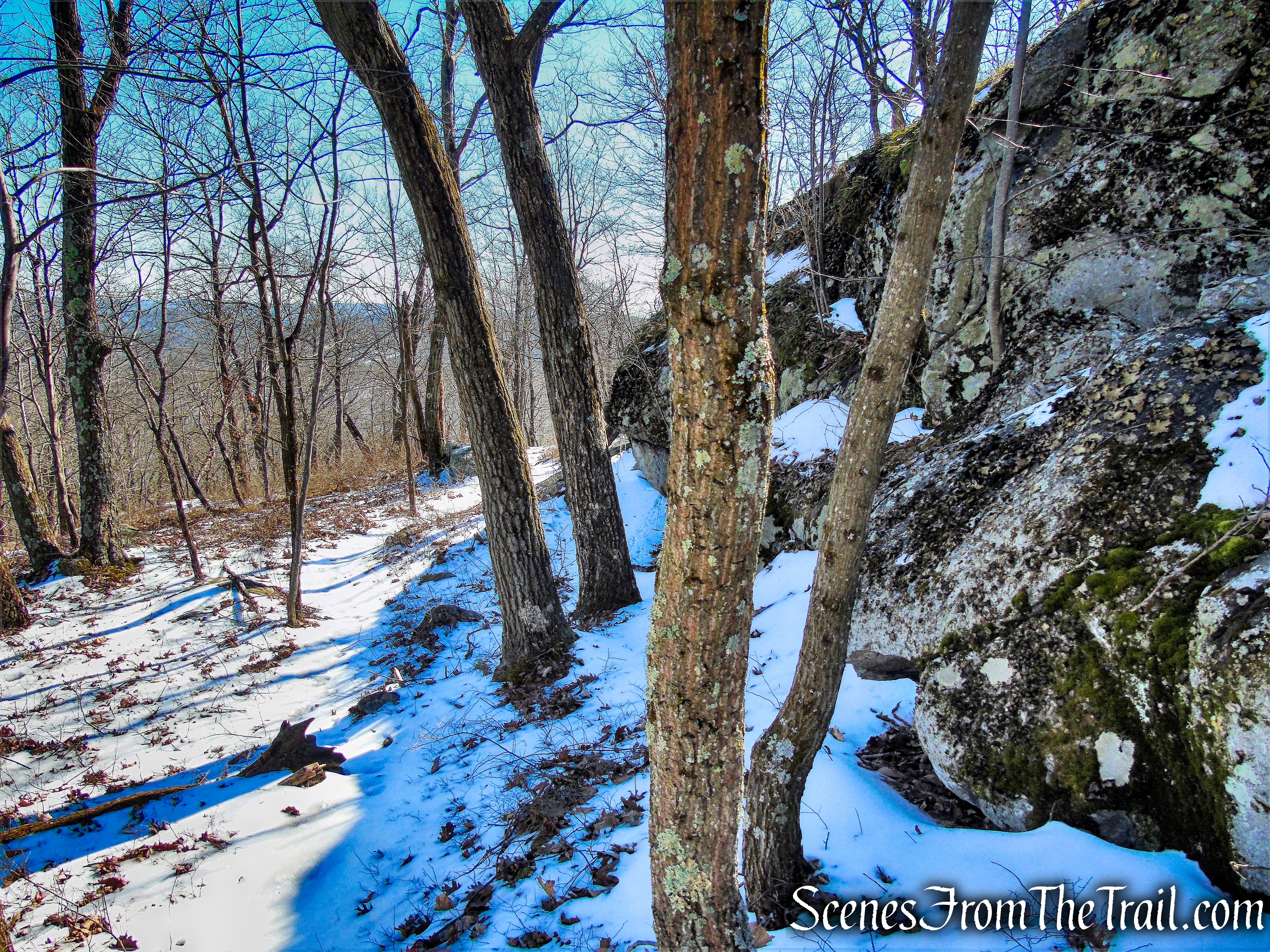lichen-covered rocks - Doris Duke Trail
