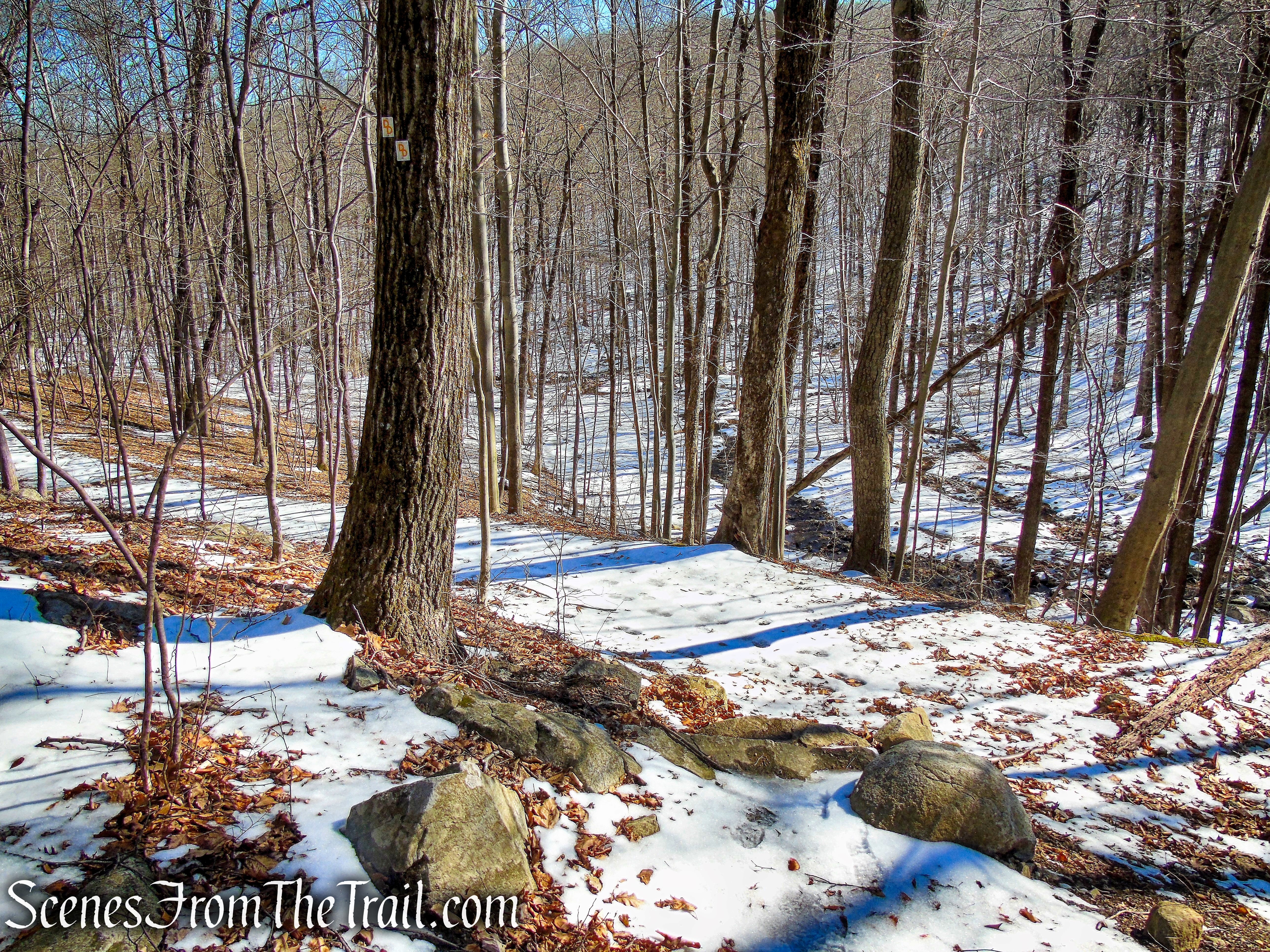 Doris Duke Trail turns left on woods road