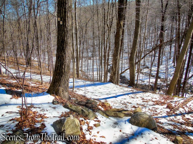 Doris Duke Trail turns left on woods road