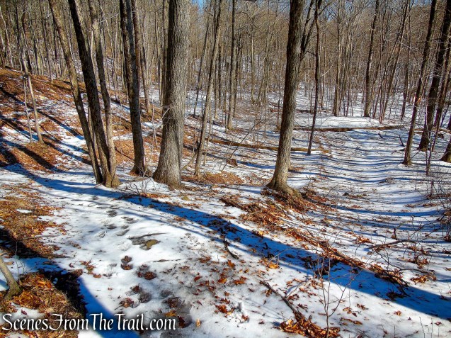 Doris Duke Trail bears left, leaving the road
