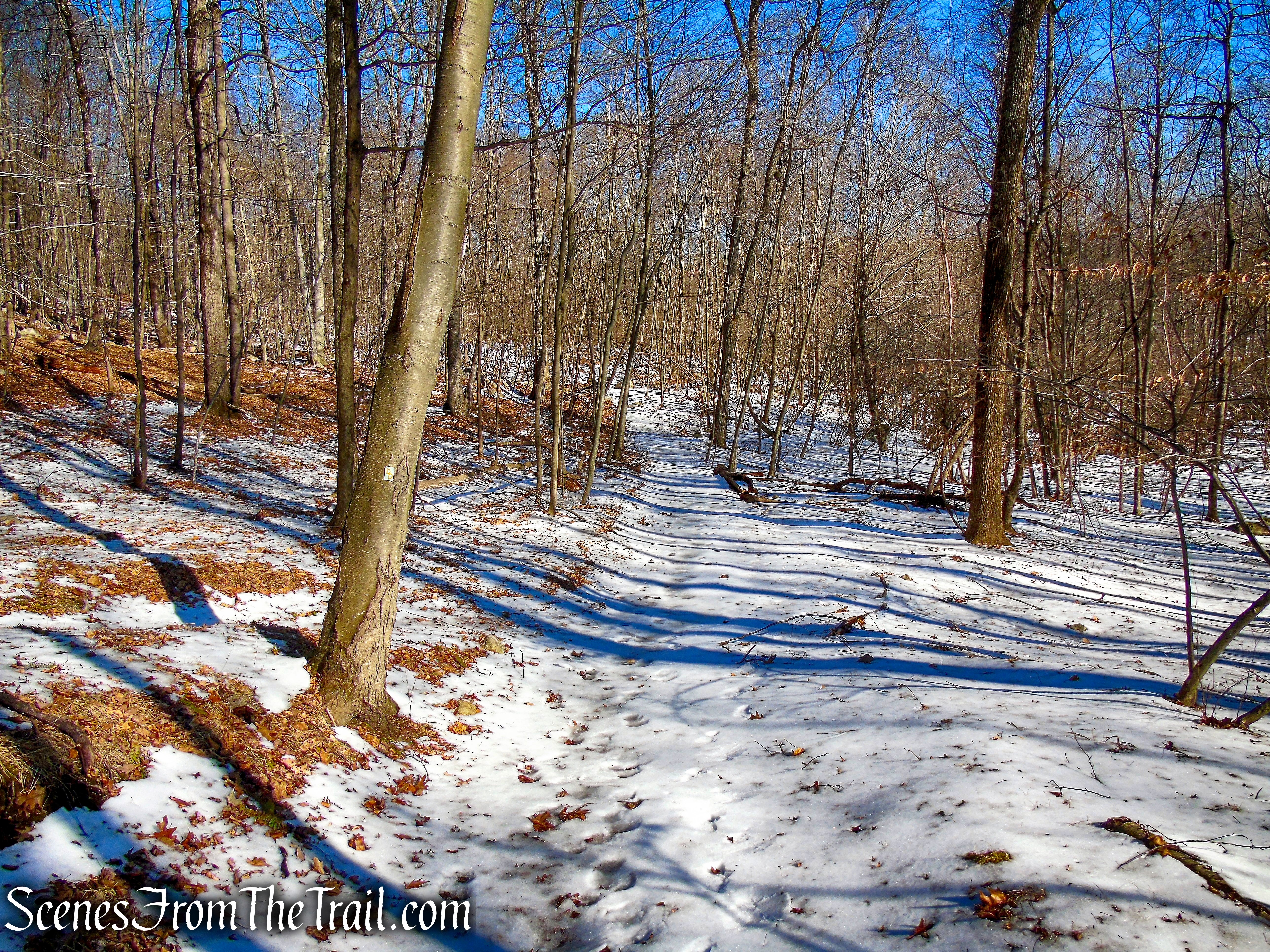 Doris Duke Trail rejoins the road