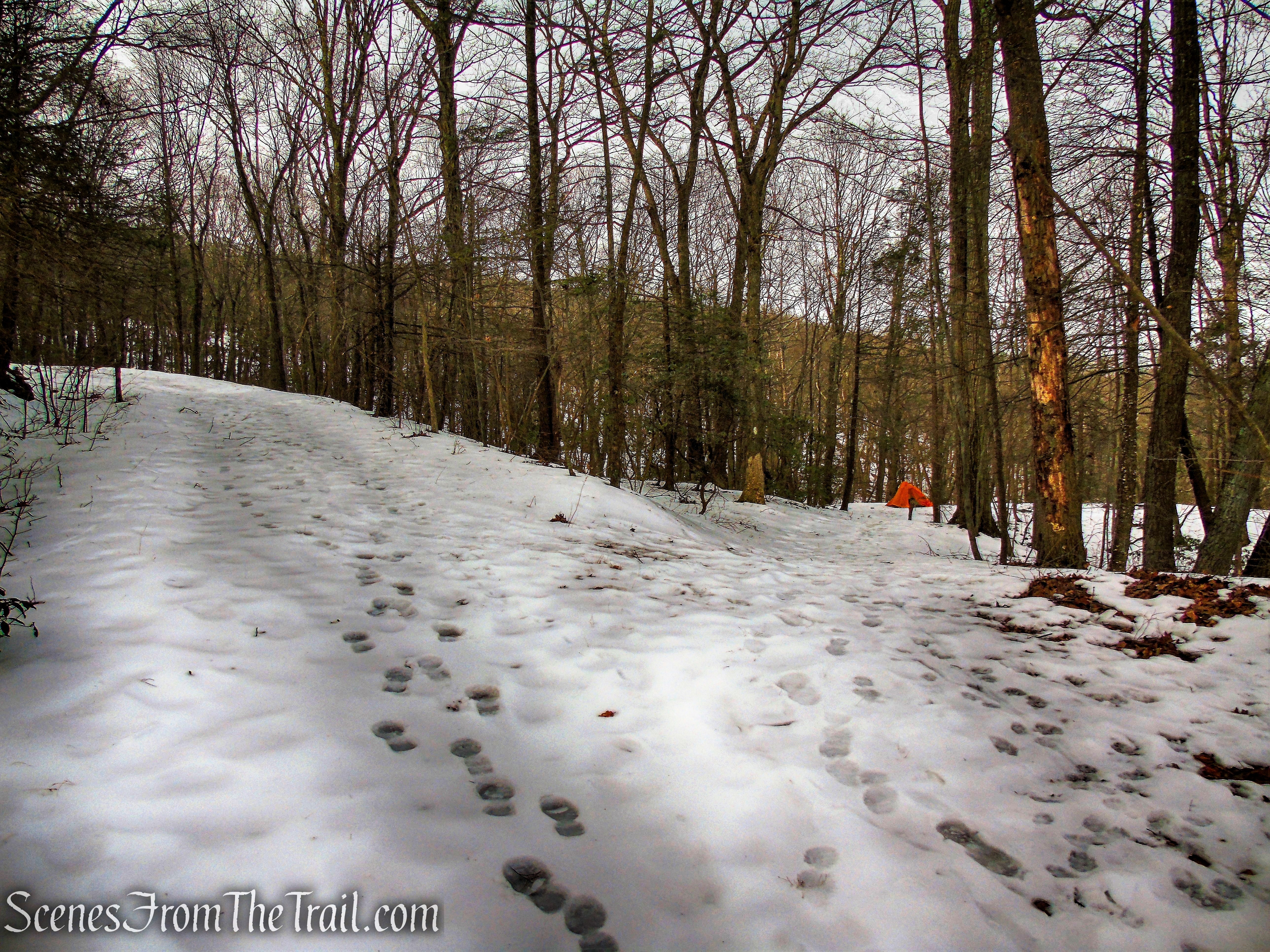 Appalachian Trail leaves to the right