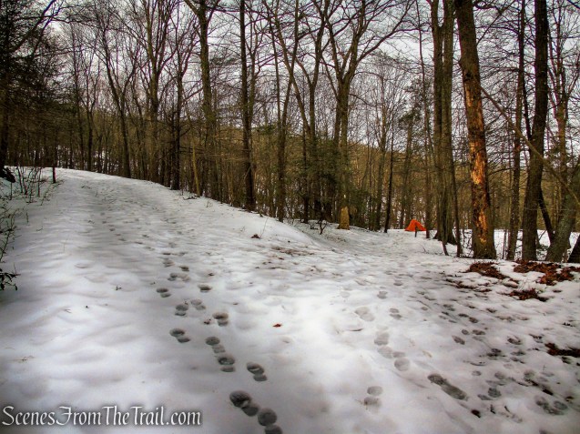 Appalachian Trail leaves to the right