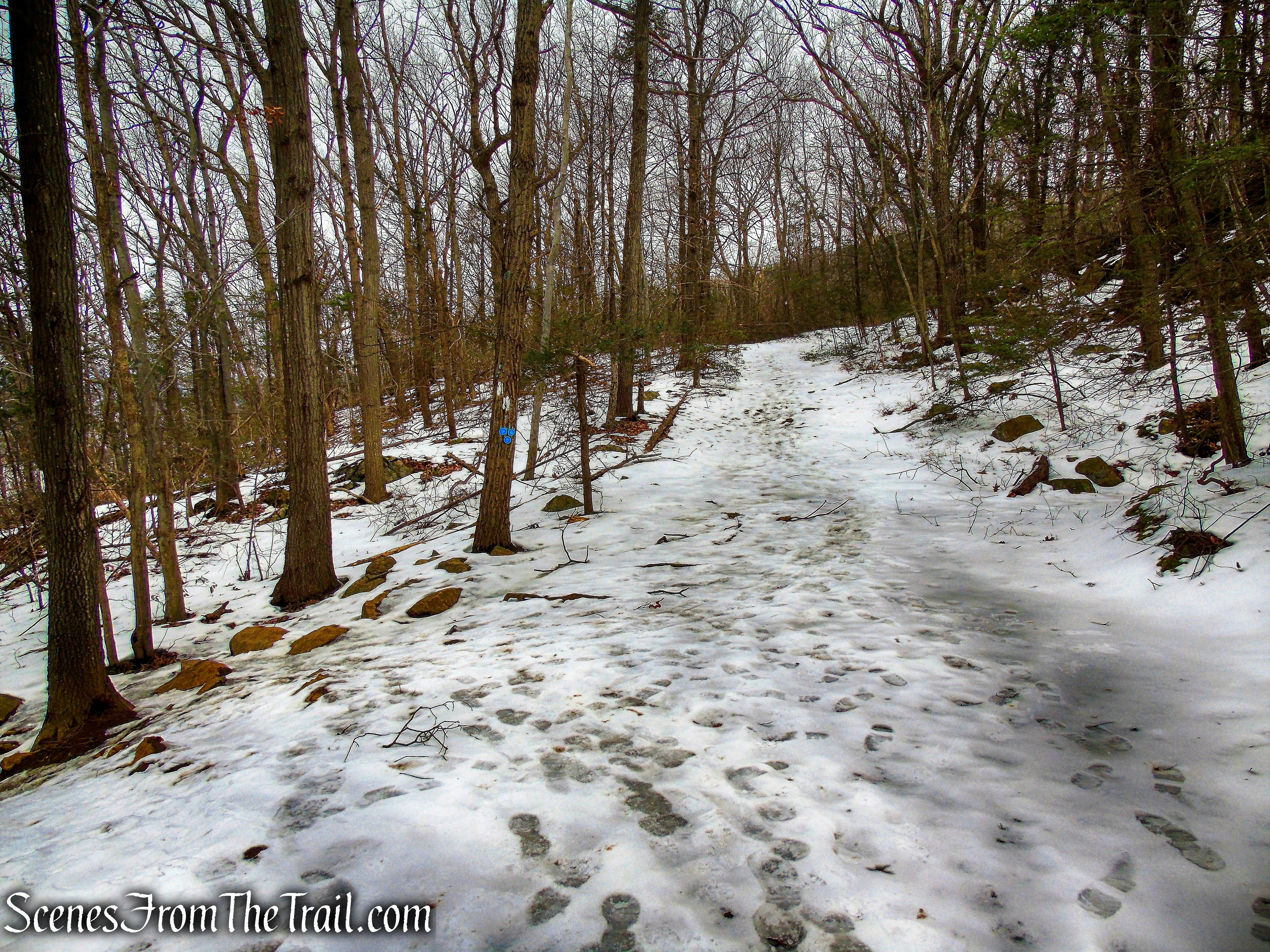 terminus of Camp Smith Trail