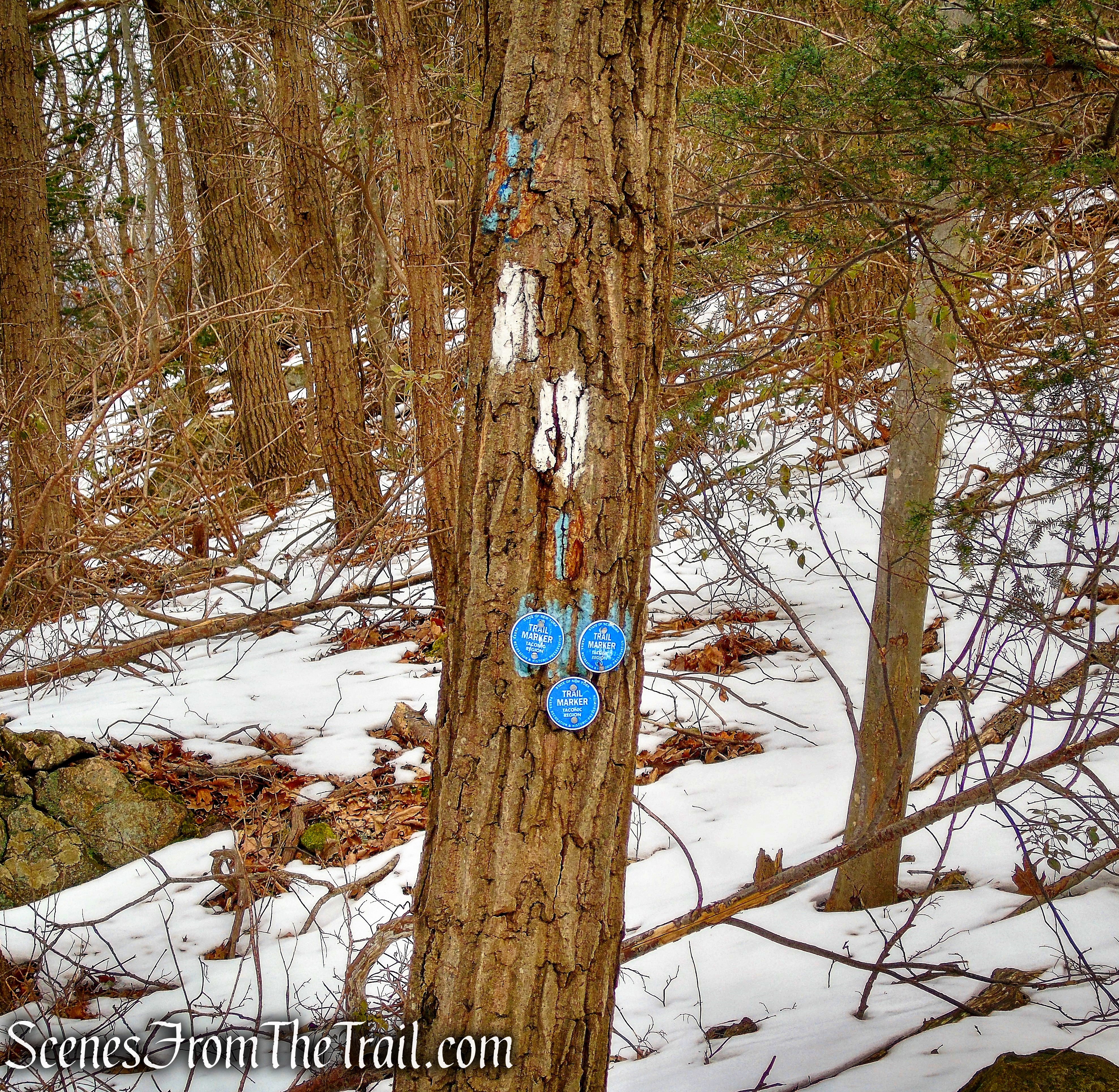 terminus of Camp Smith Trail