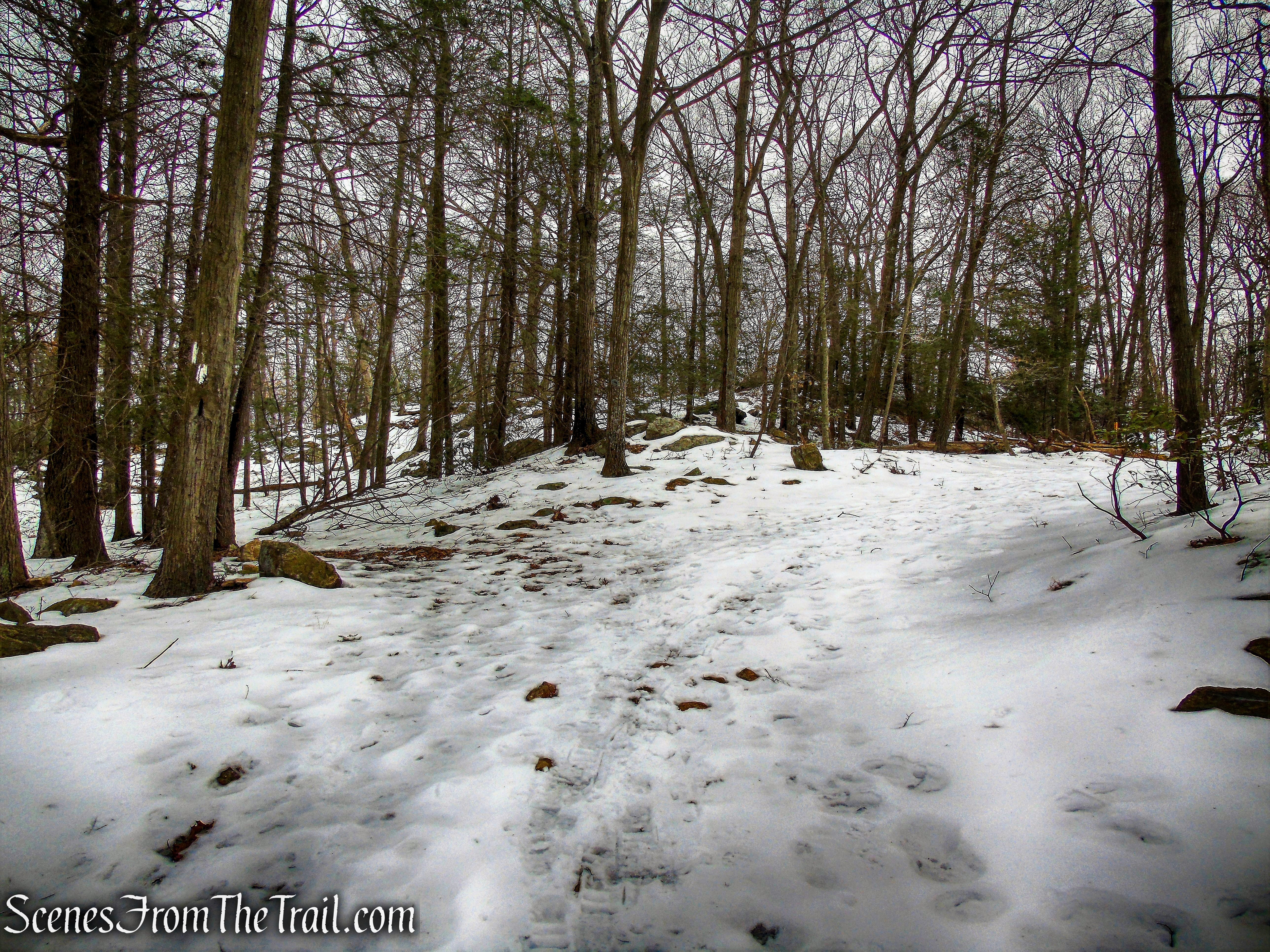 continue on woods road as Appalachian Trail leaves to the left