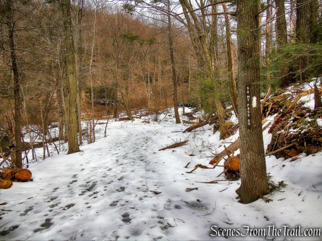 South Mountain Pass Road