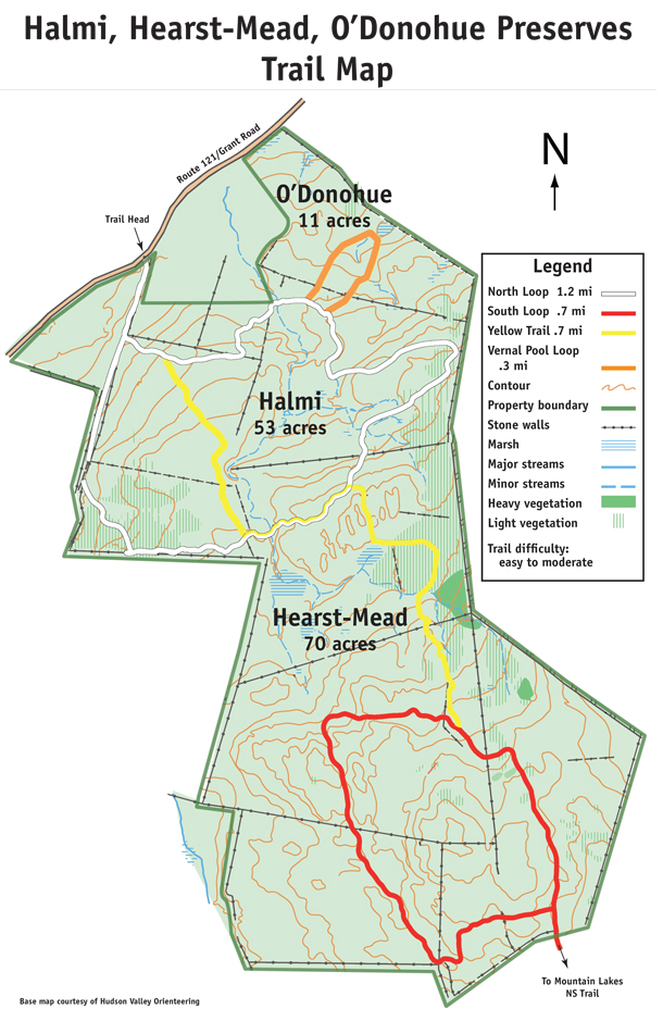 Halmi, Hearst-Mead, O’Donohue Preserves