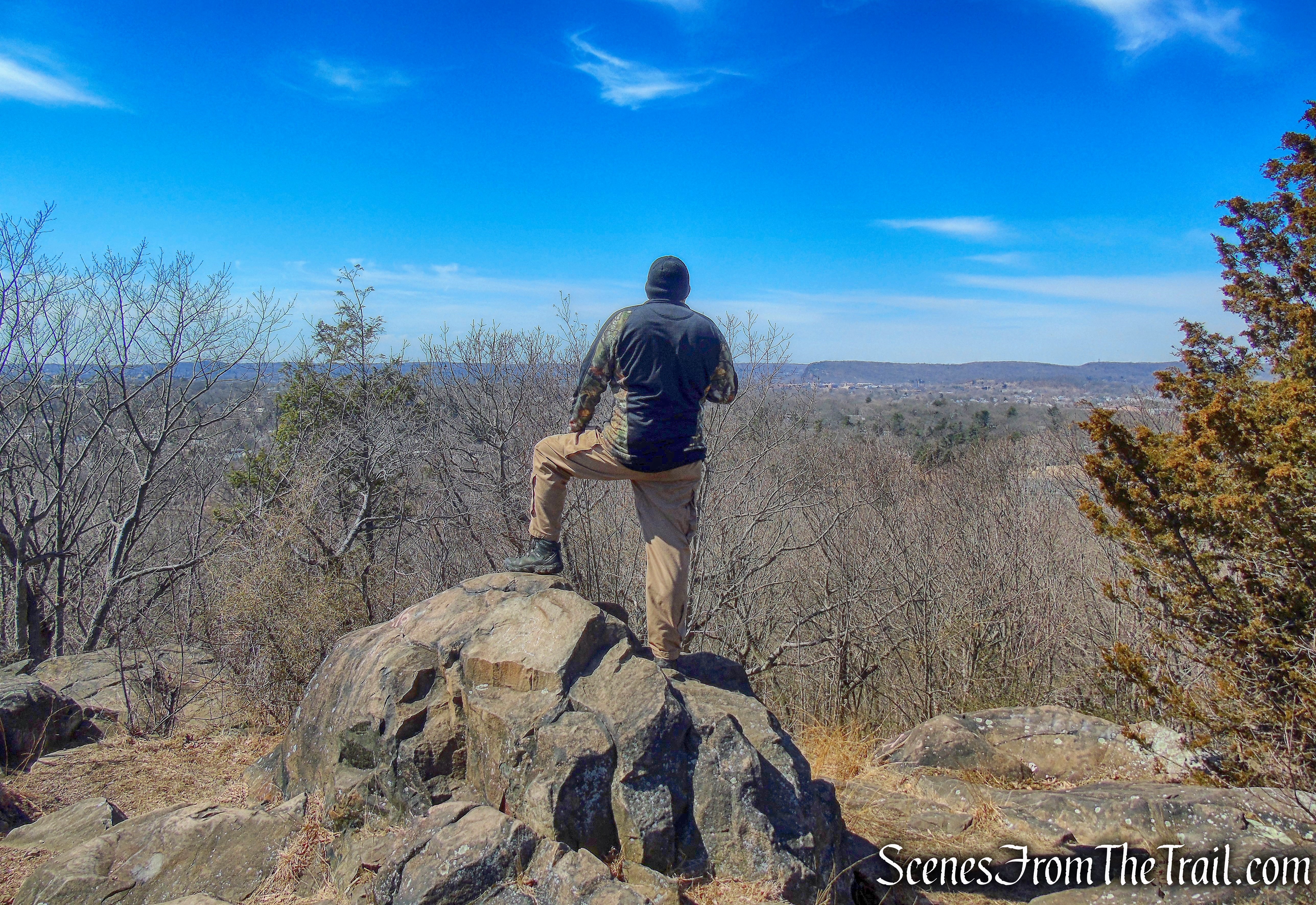 Whitney Peak summit - East Rock Park