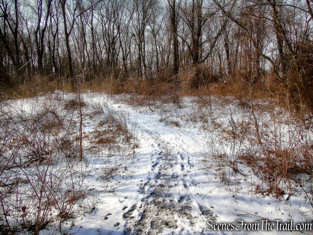 Nature Trail - Rockefeller State Park Preserve