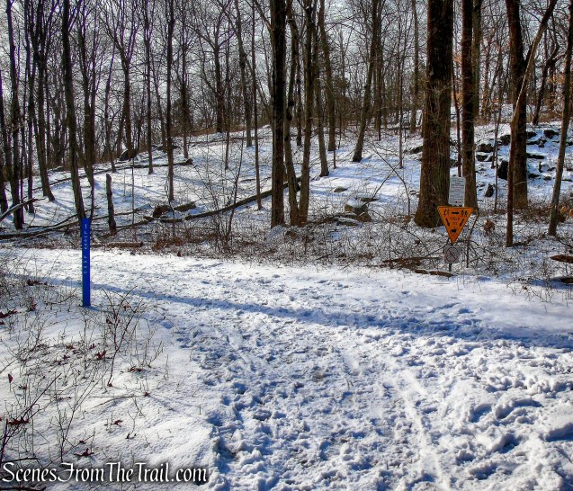 turn left on County Lane