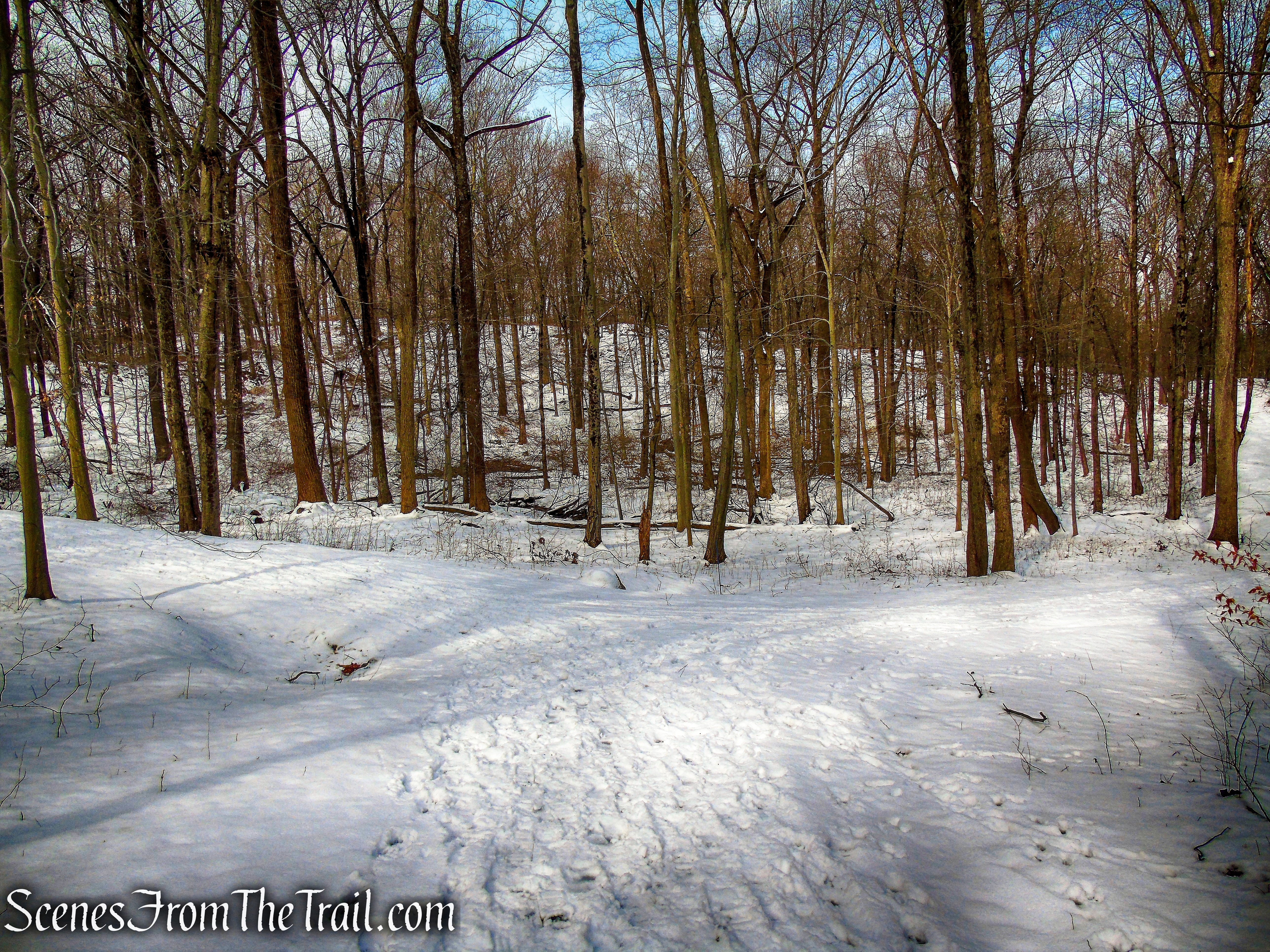 keep left on Lucy's Loop