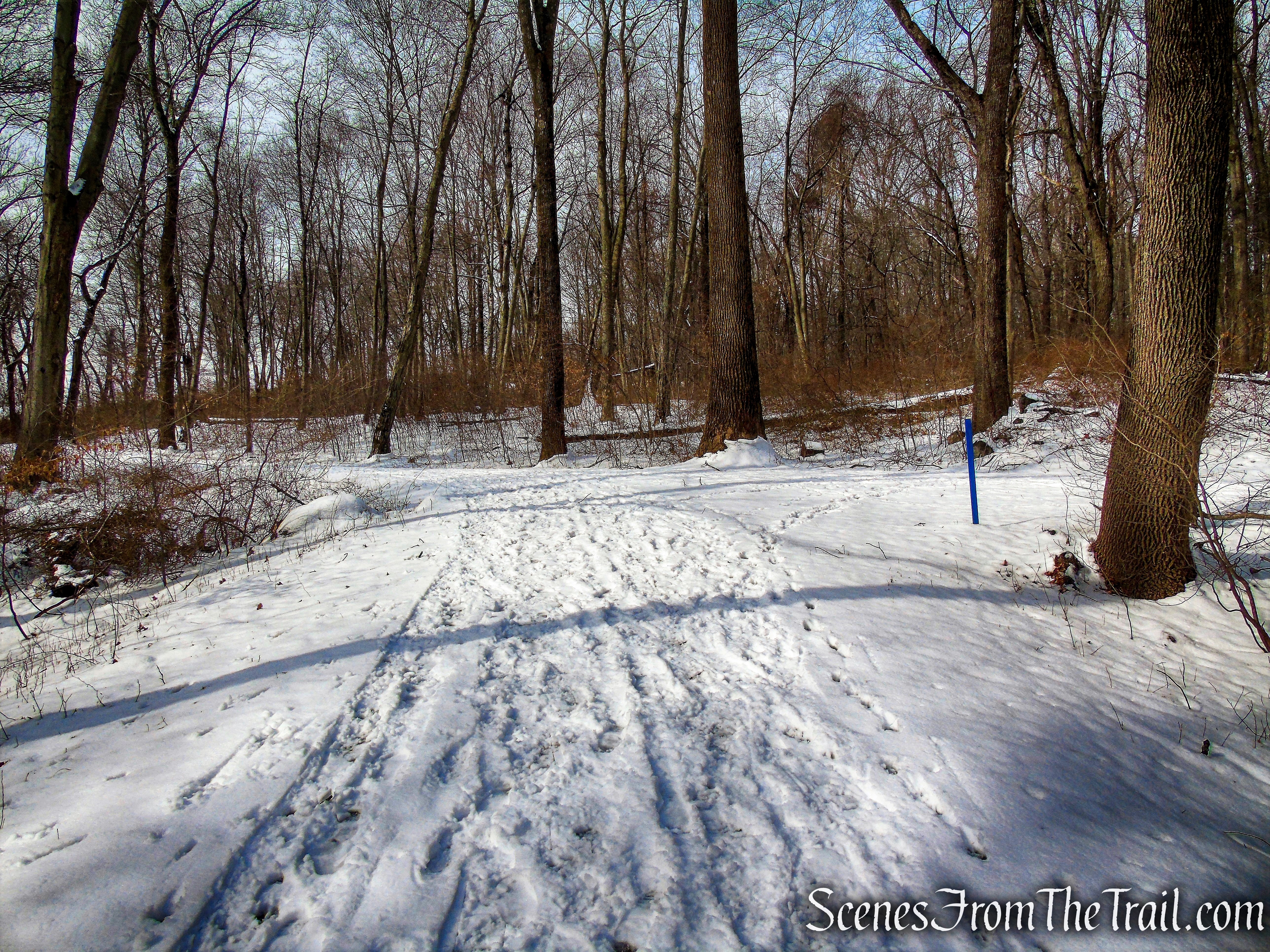 keep left on Lucy's Loop