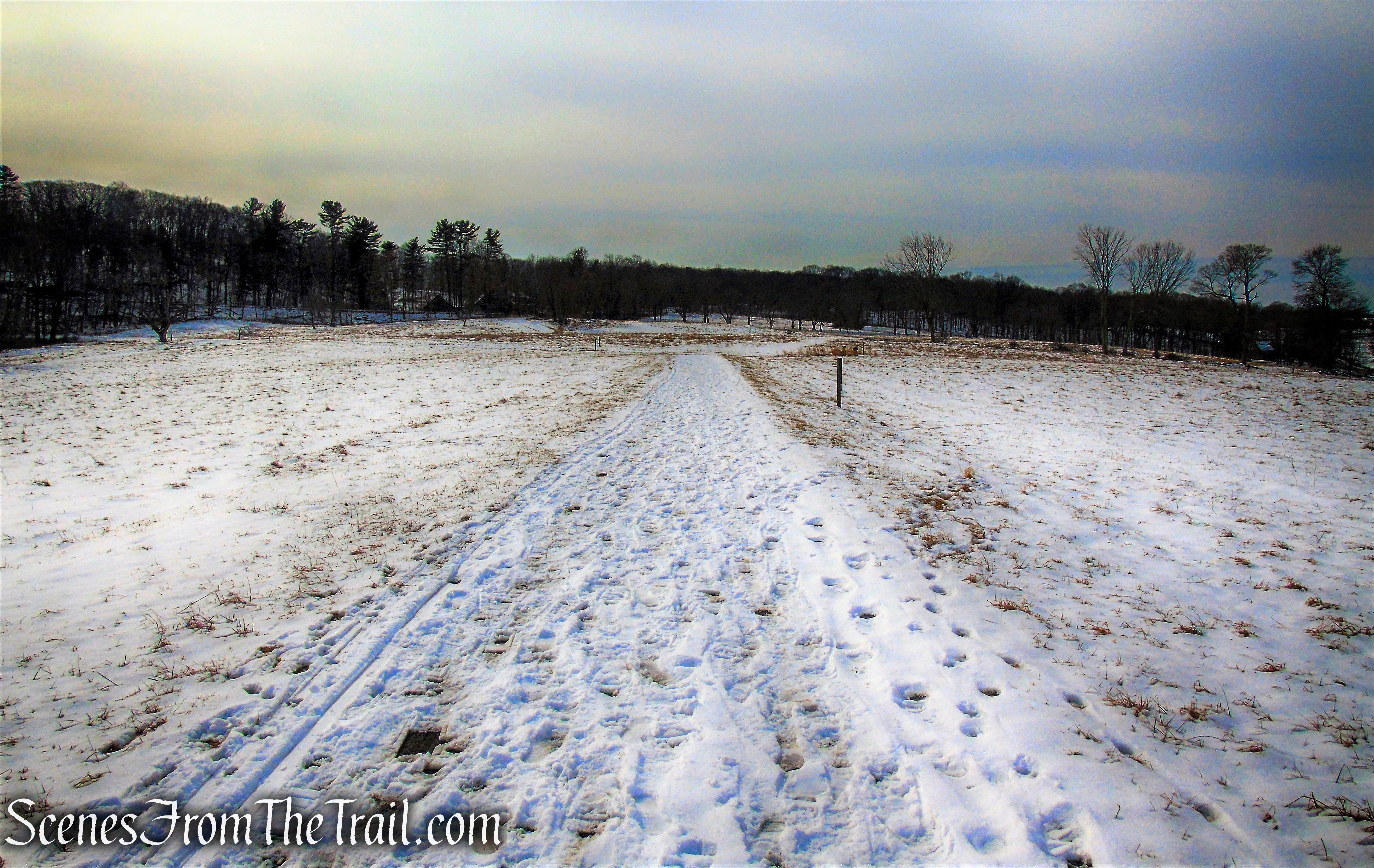 head south through field