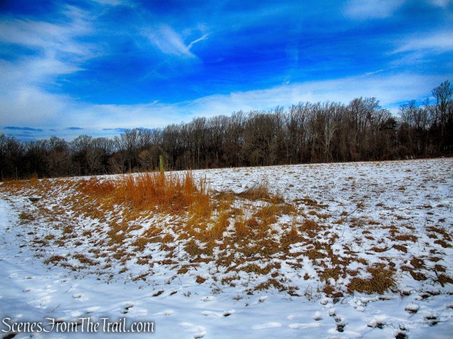 view west from field