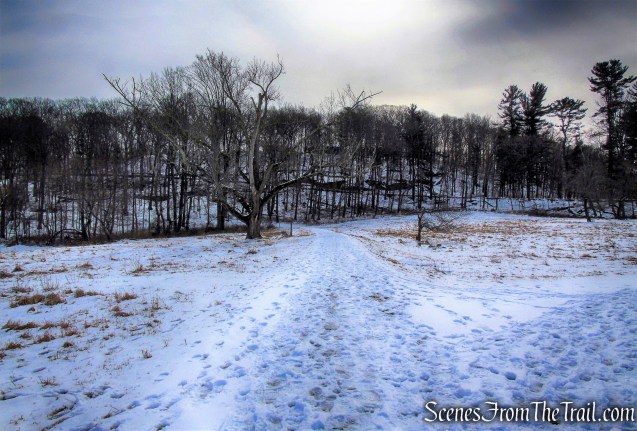 head east towards Buttermilk Hill