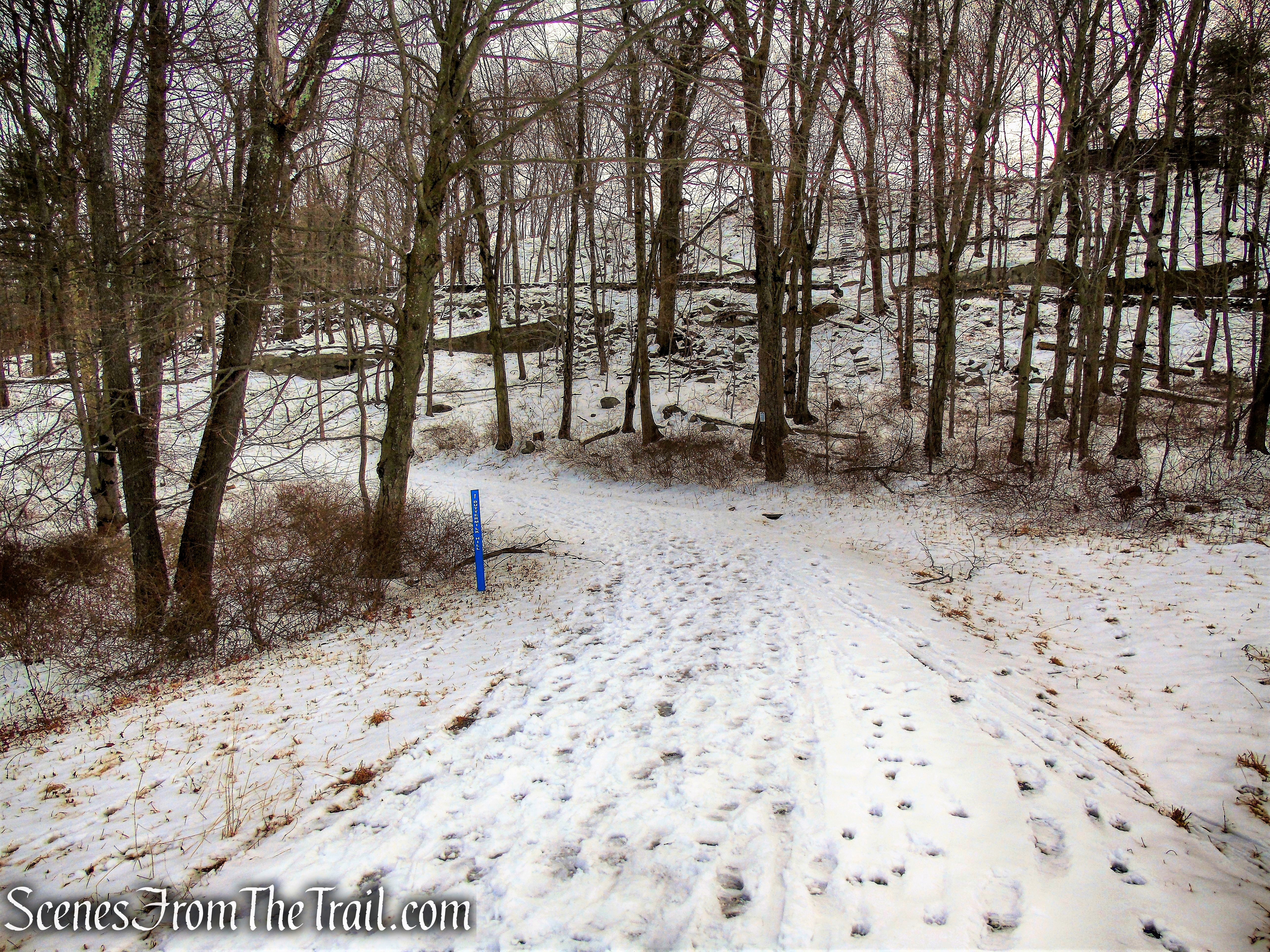 turn left on Buttermilk Hill