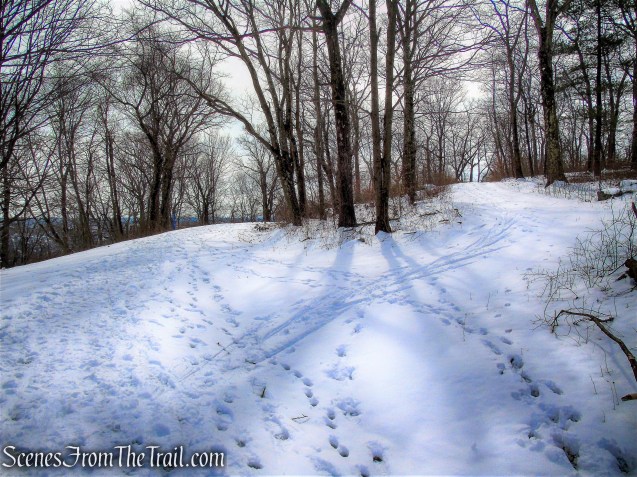 stay left at Y-intersection