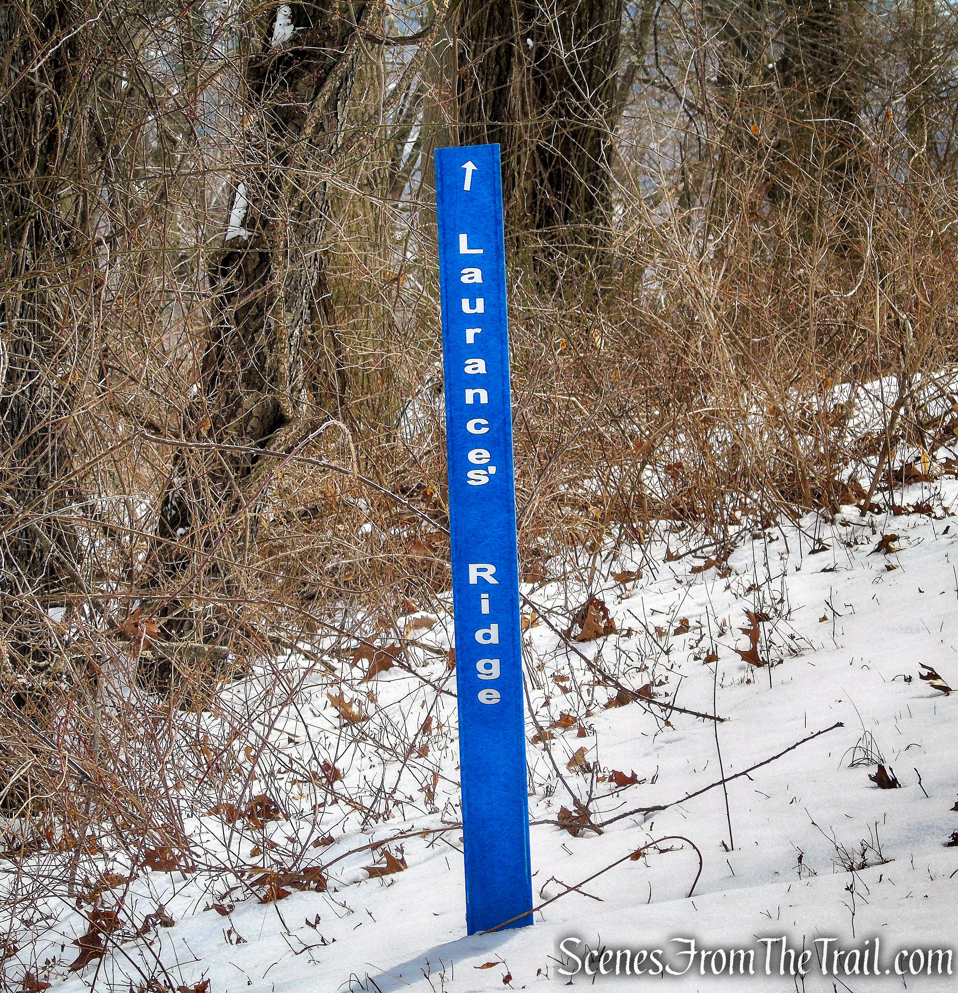 Buttermilk Hill Trail