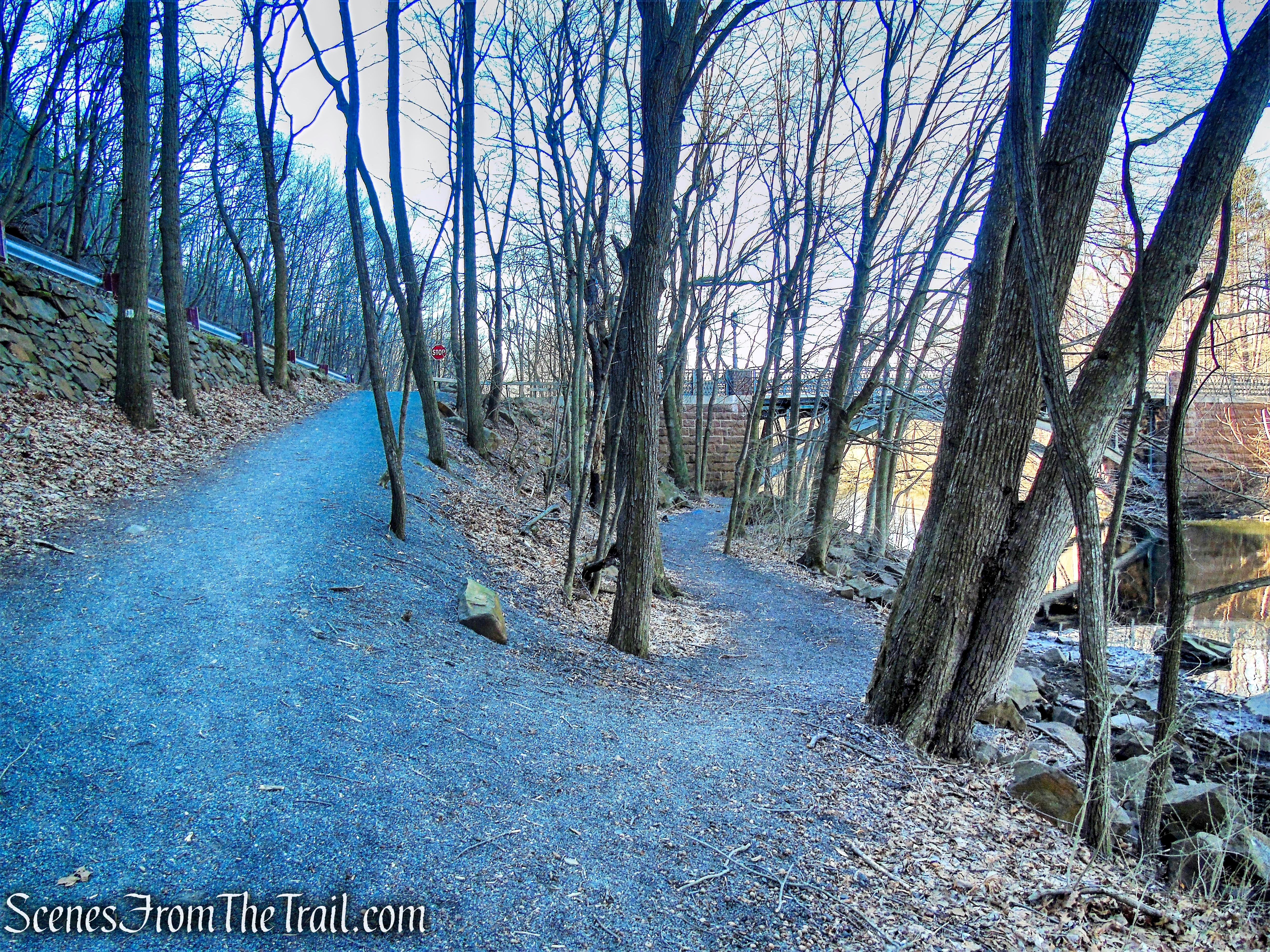 stay left on White Trail