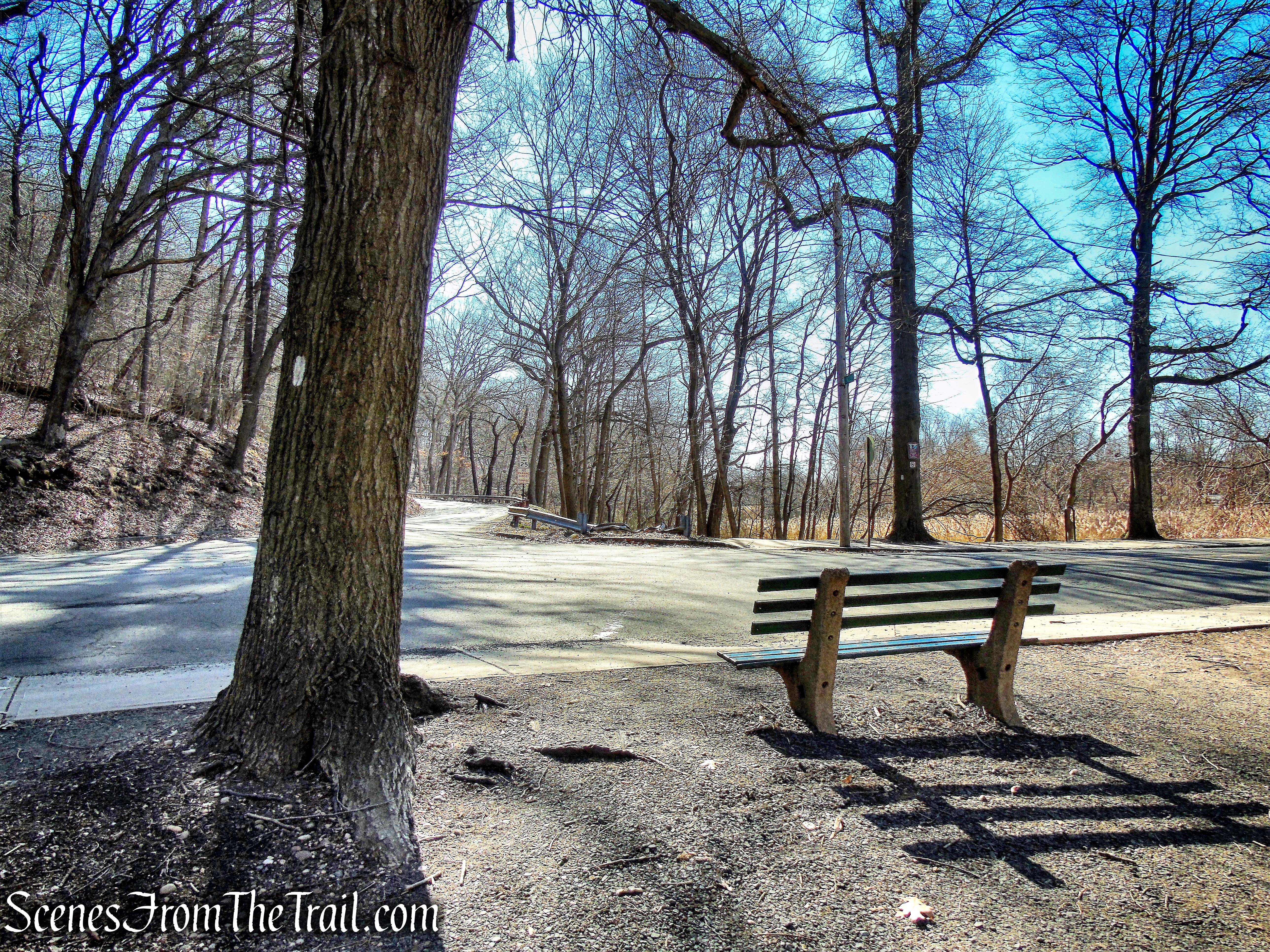 White Trail crosses Orange Road