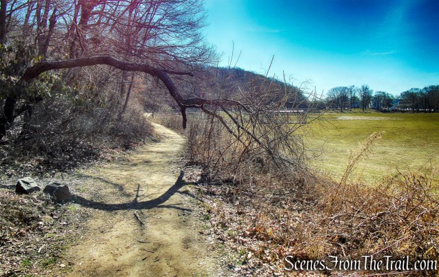White Trail approaches Rice Field