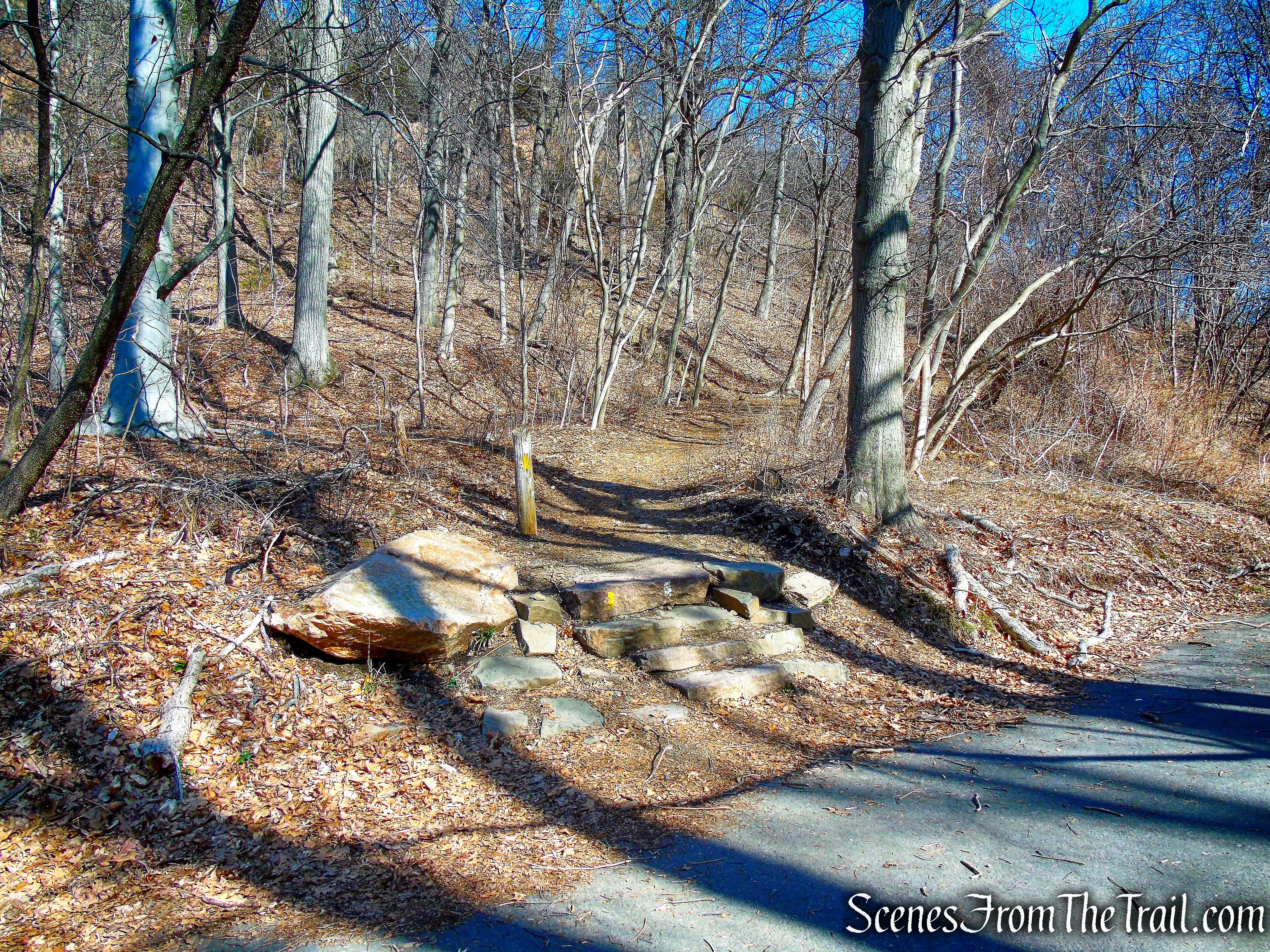 White Trail joins the start of the Yellow Trail