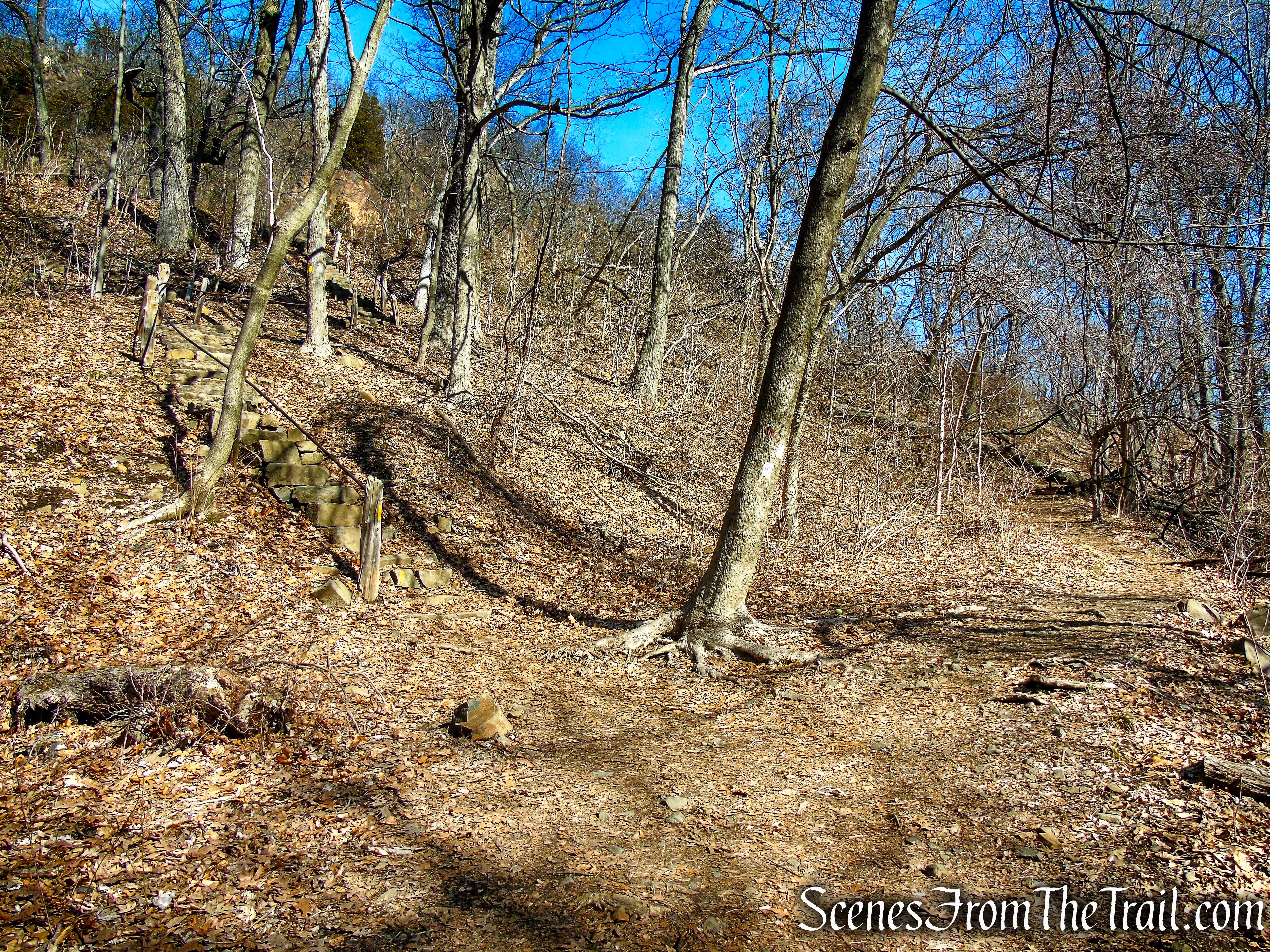 Bear left on Yellow Trail