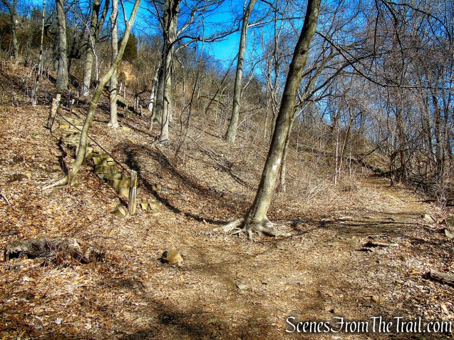 Bear left on Yellow Trail