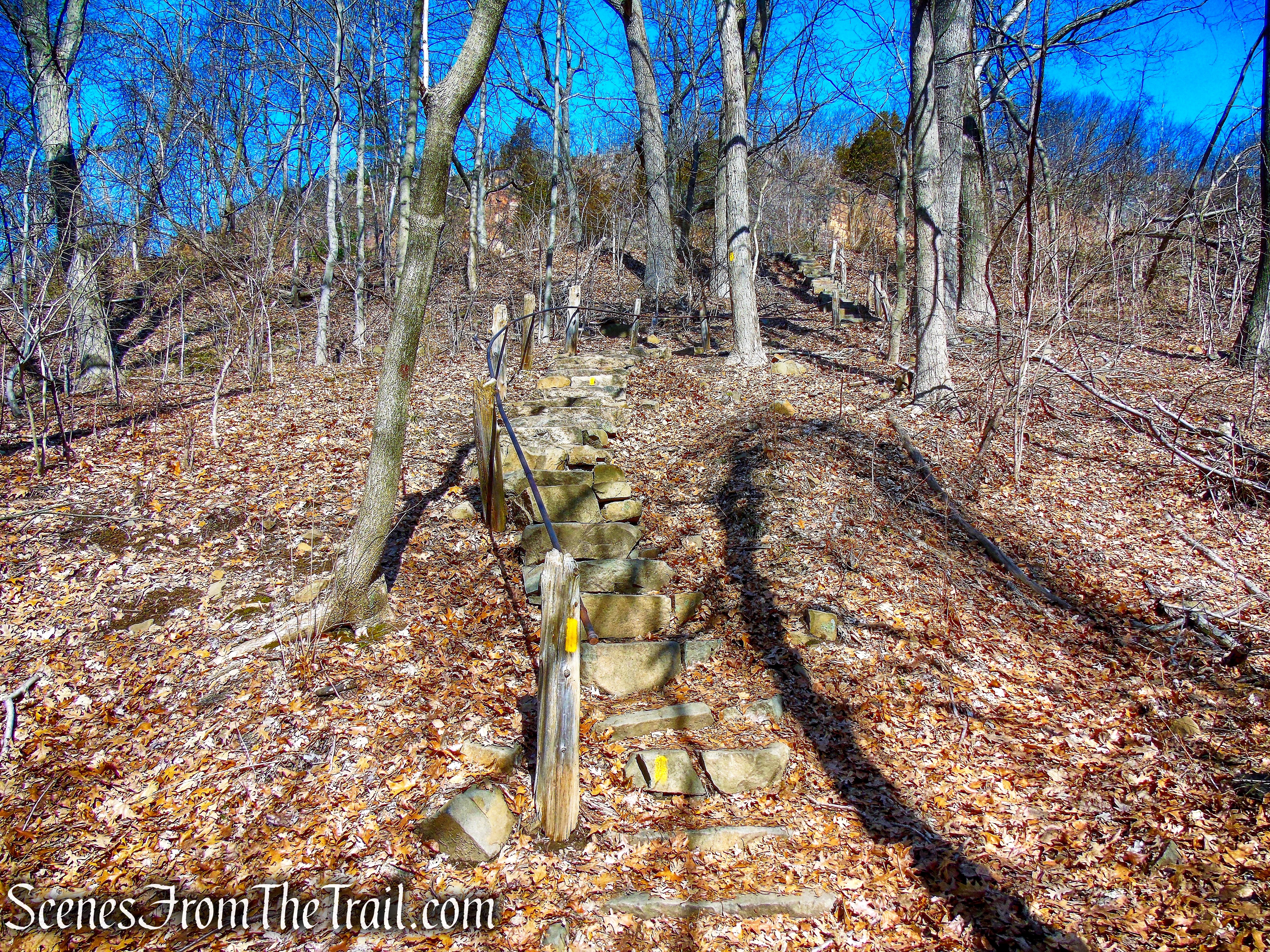 Giant Steps Trail - Yellow Trail