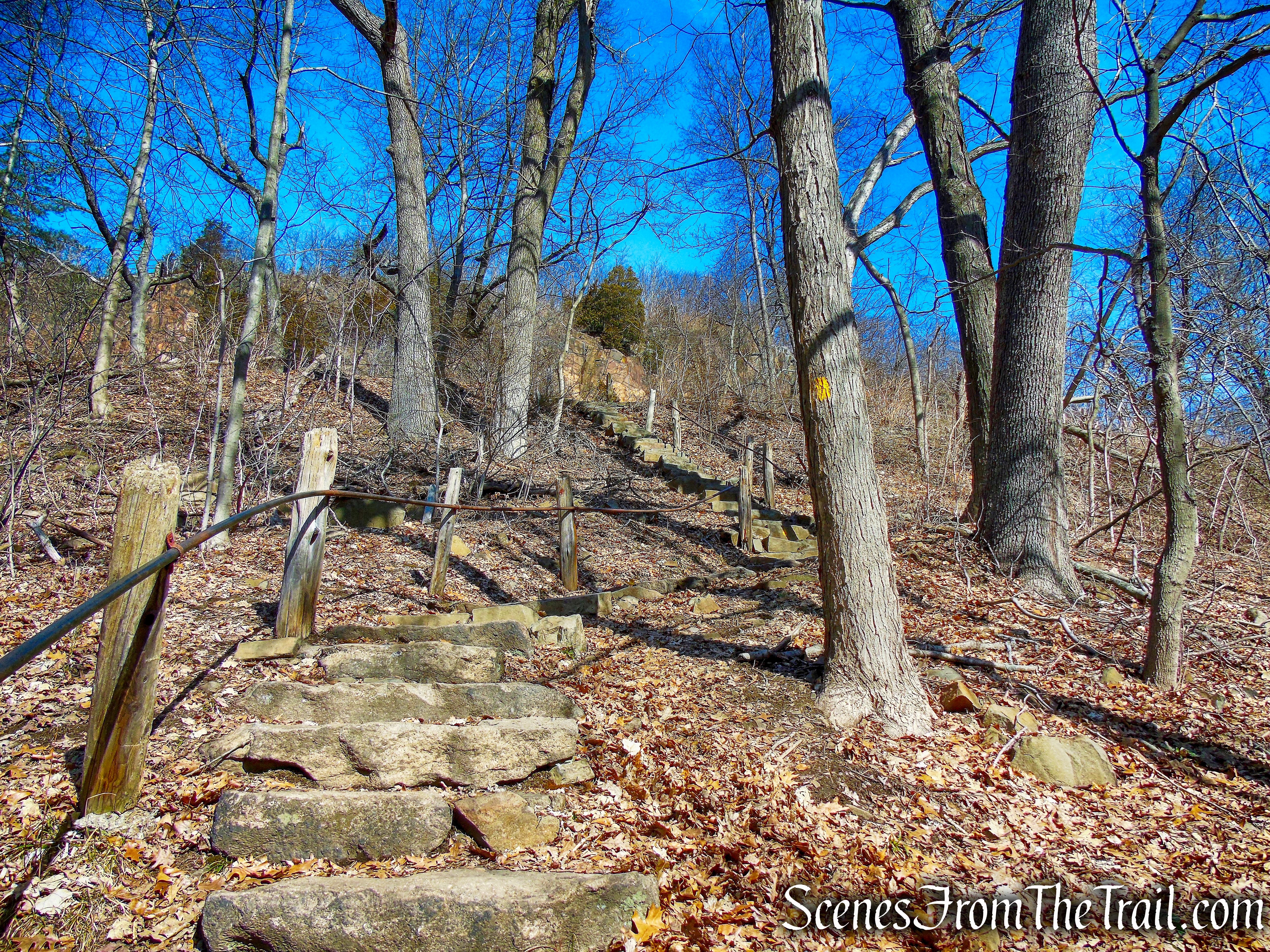 Giant Steps Trail - Yellow Trail