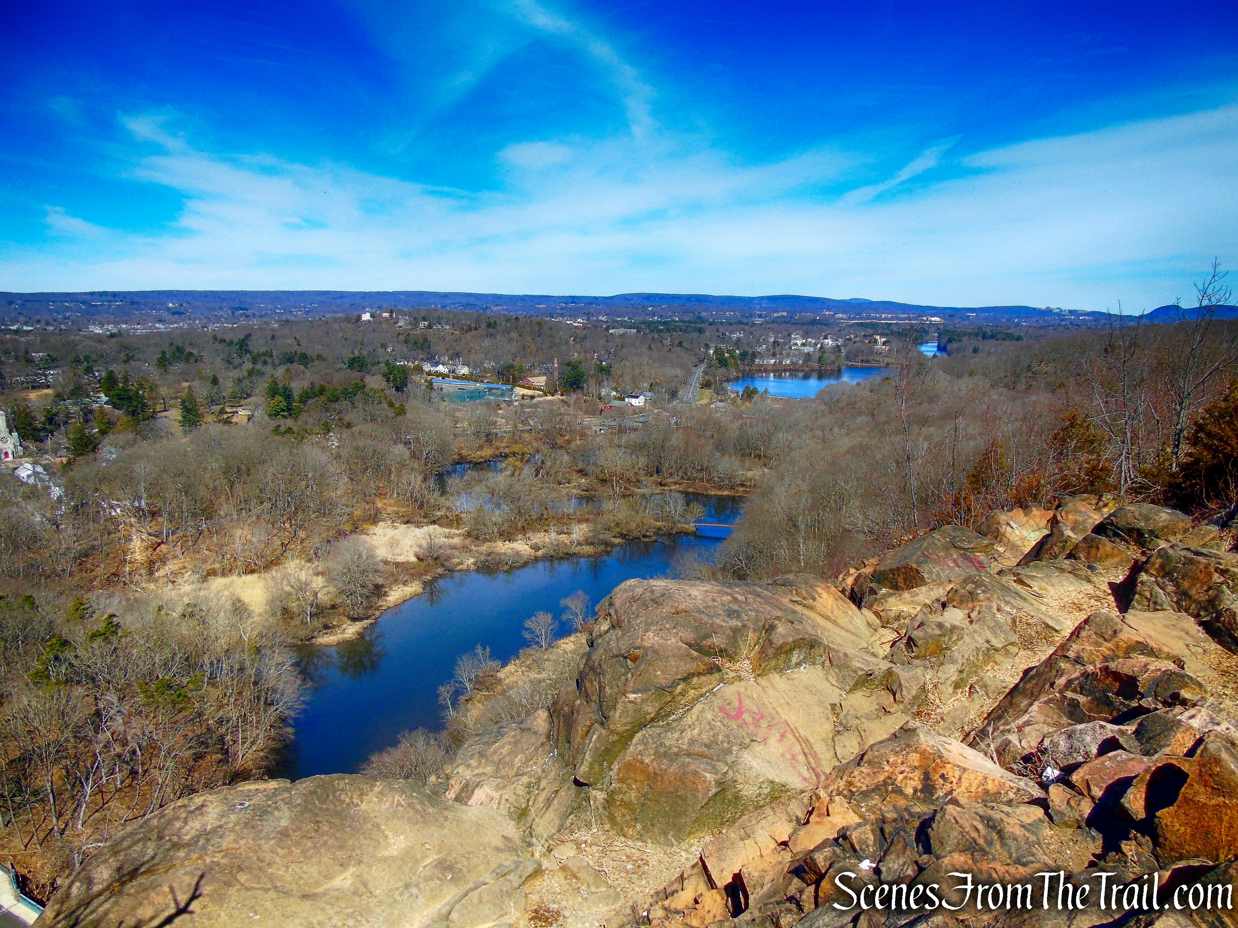 view northwest from Yellow Trail - East Rock Park