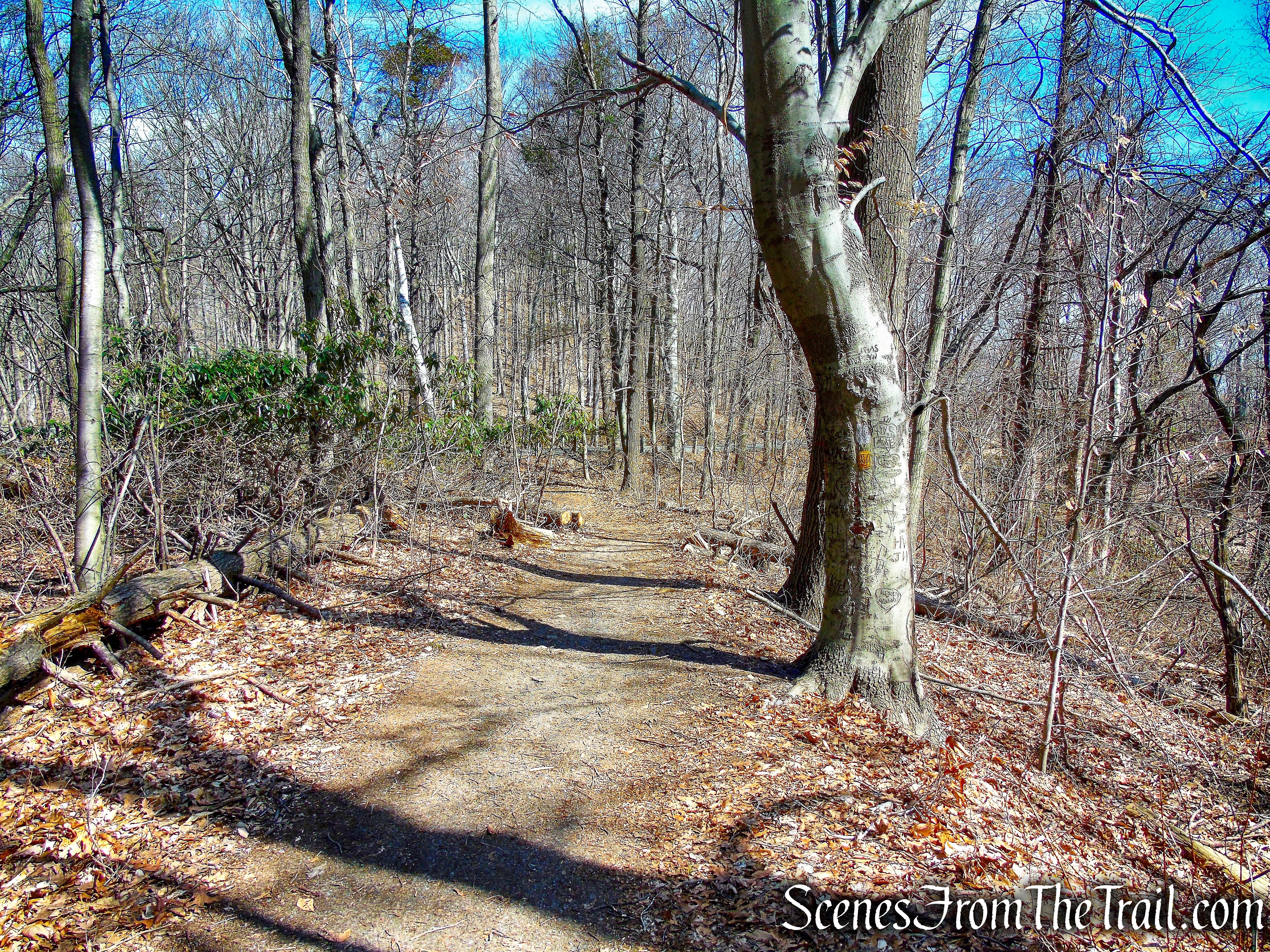Yellow Trail - East Rock Park