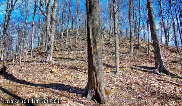Yellow Trail - East Rock Park